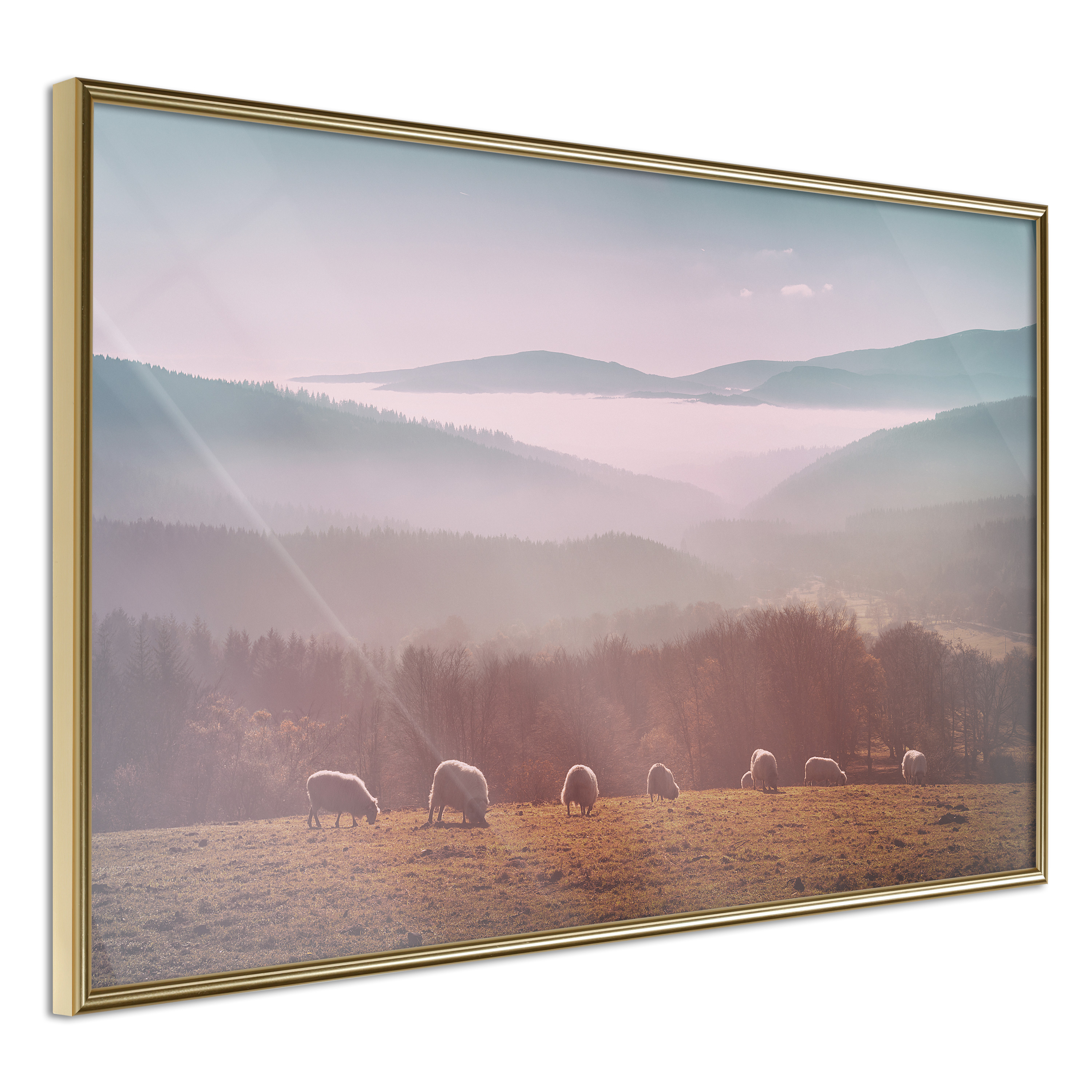 Poster - Mountain Pasture - 45x30