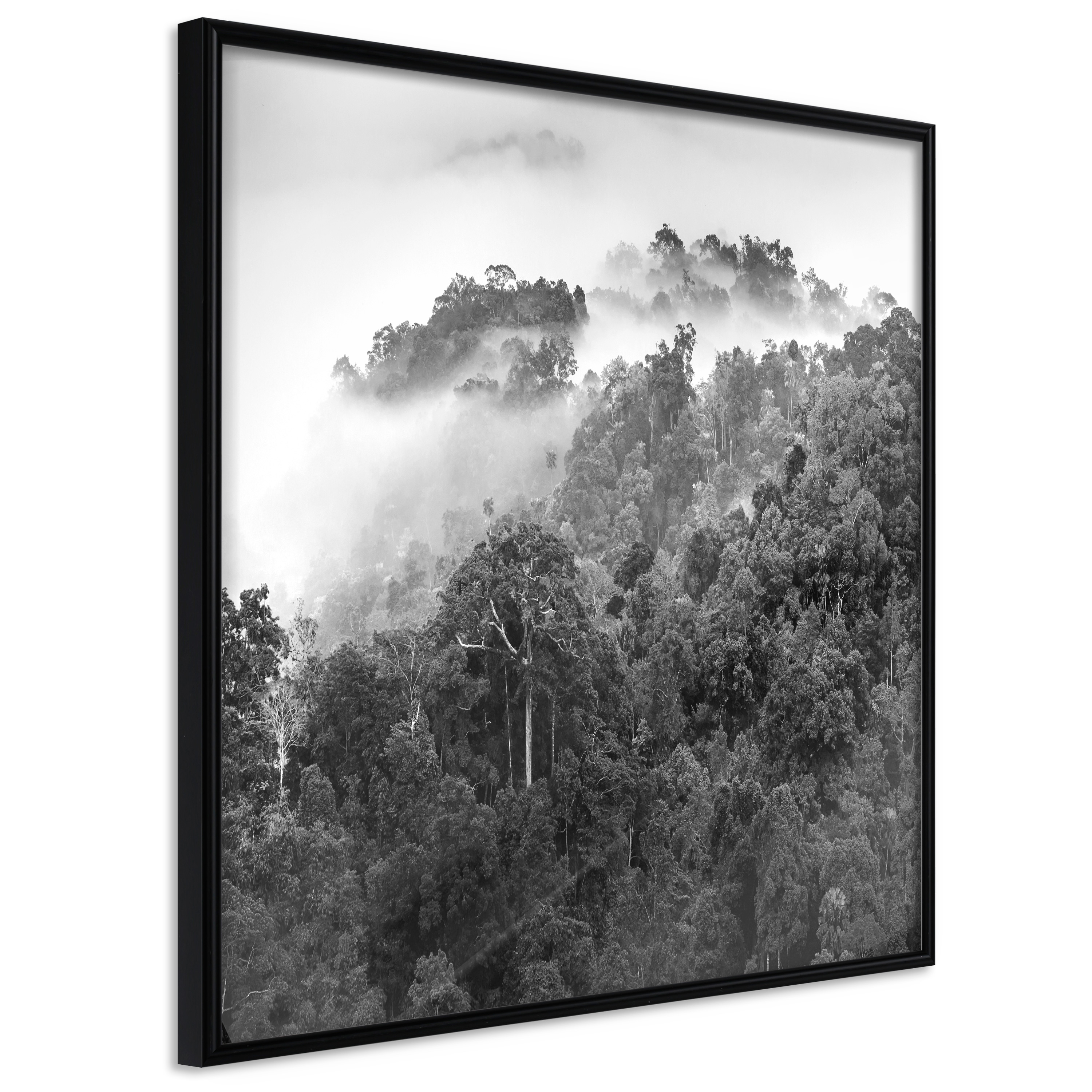Poster - Foggy Forest - 20x20