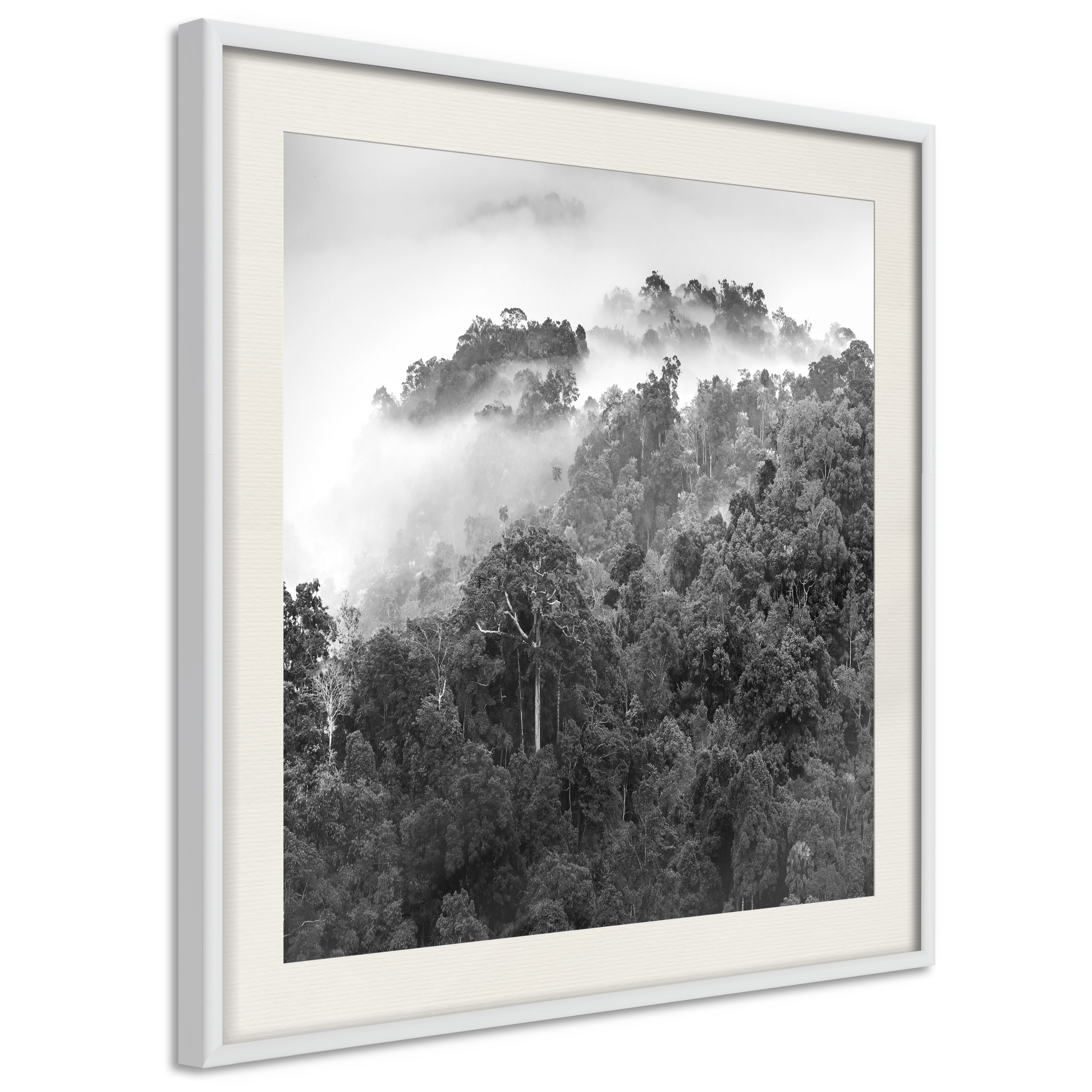 Poster - Foggy Forest - 20x20