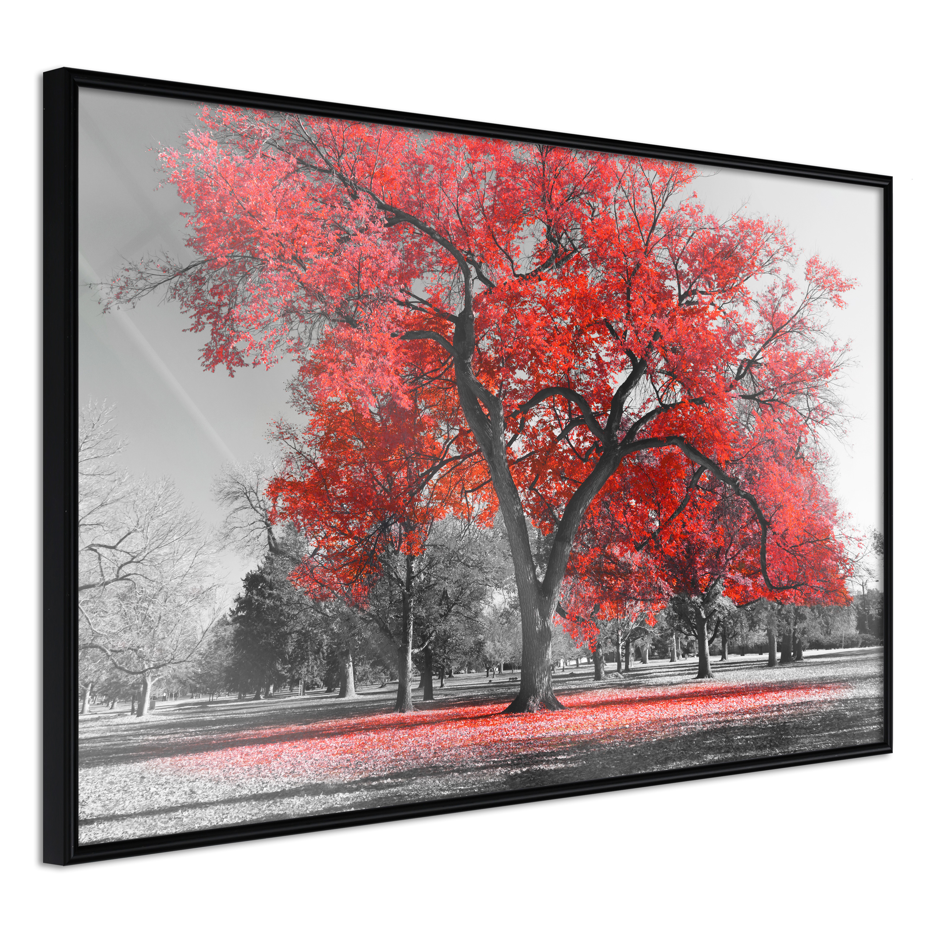 Poster - Red Tree - 45x30