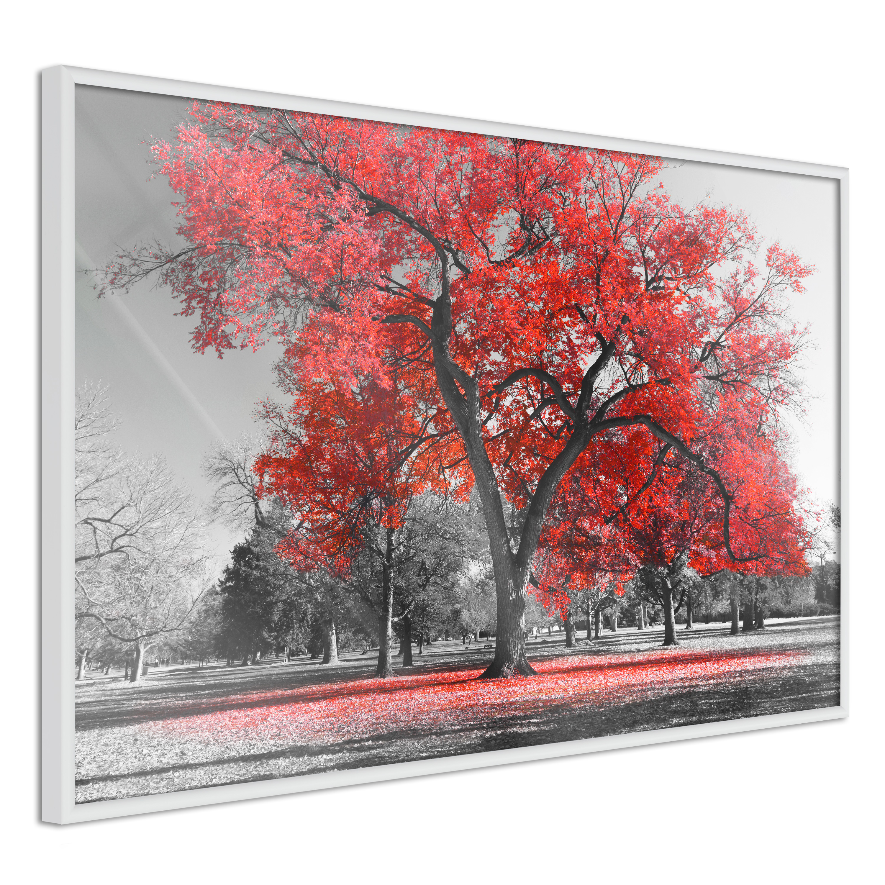 Poster - Red Tree - 30x20