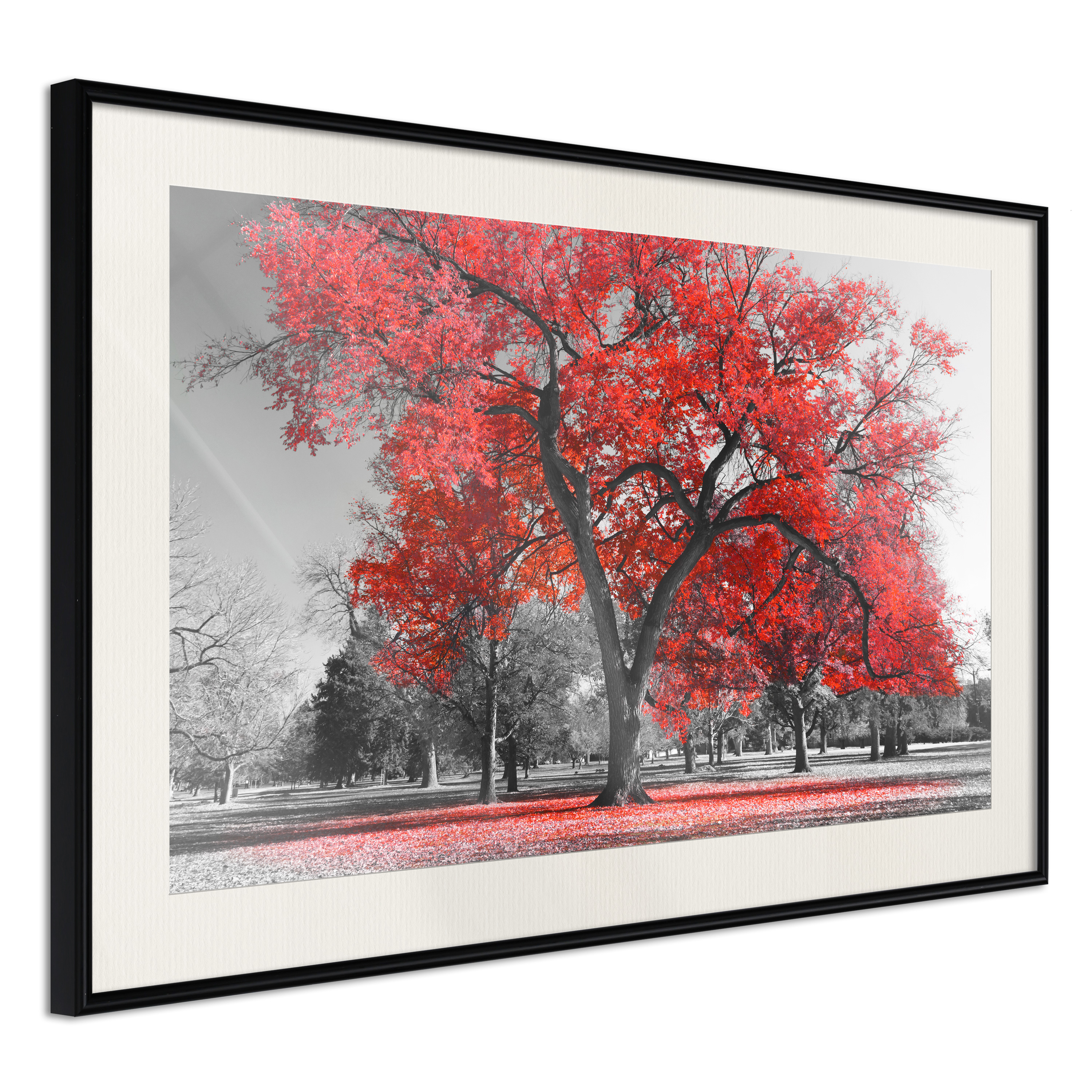 Poster - Red Tree - 60x40