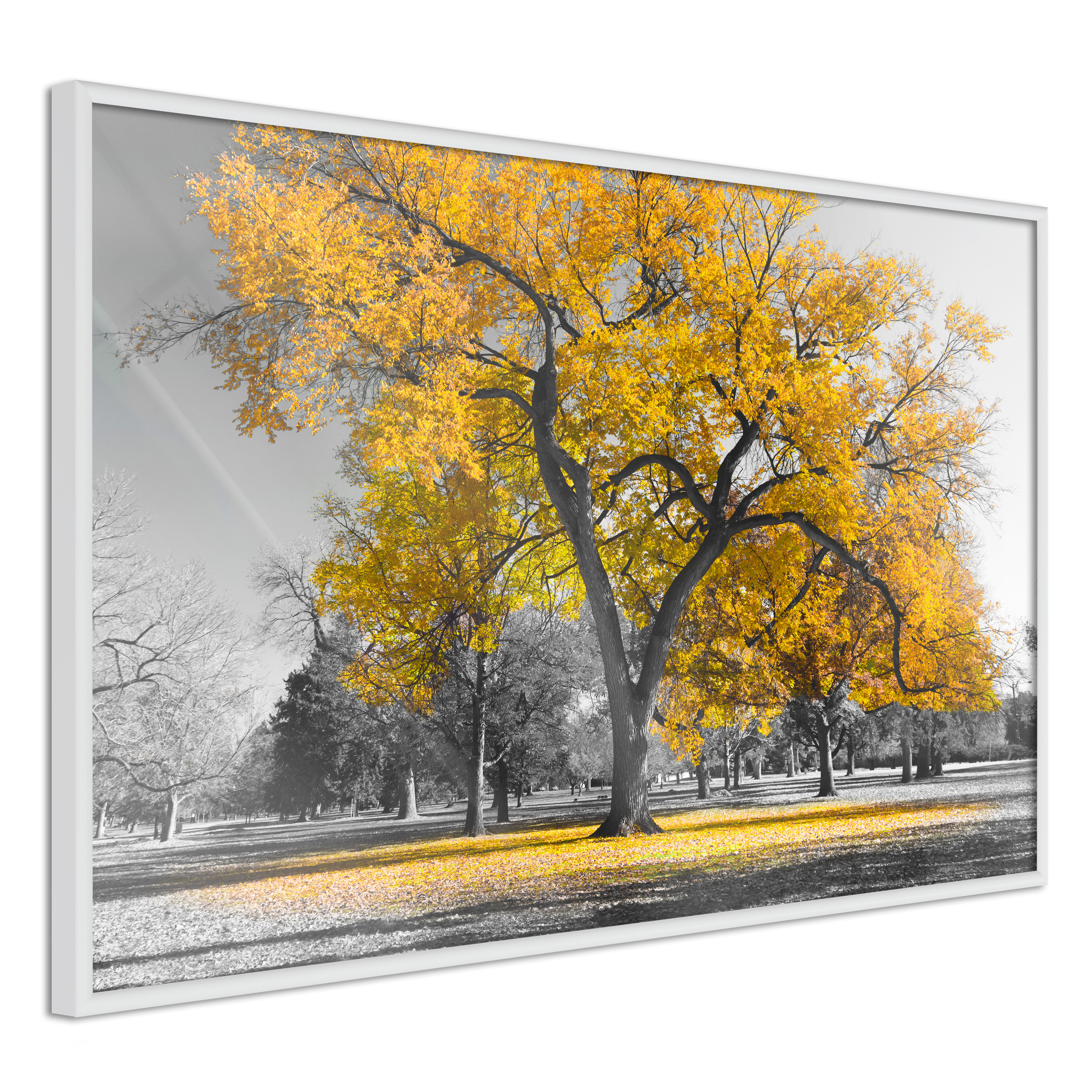 Poster - Golden Tree - 90x60