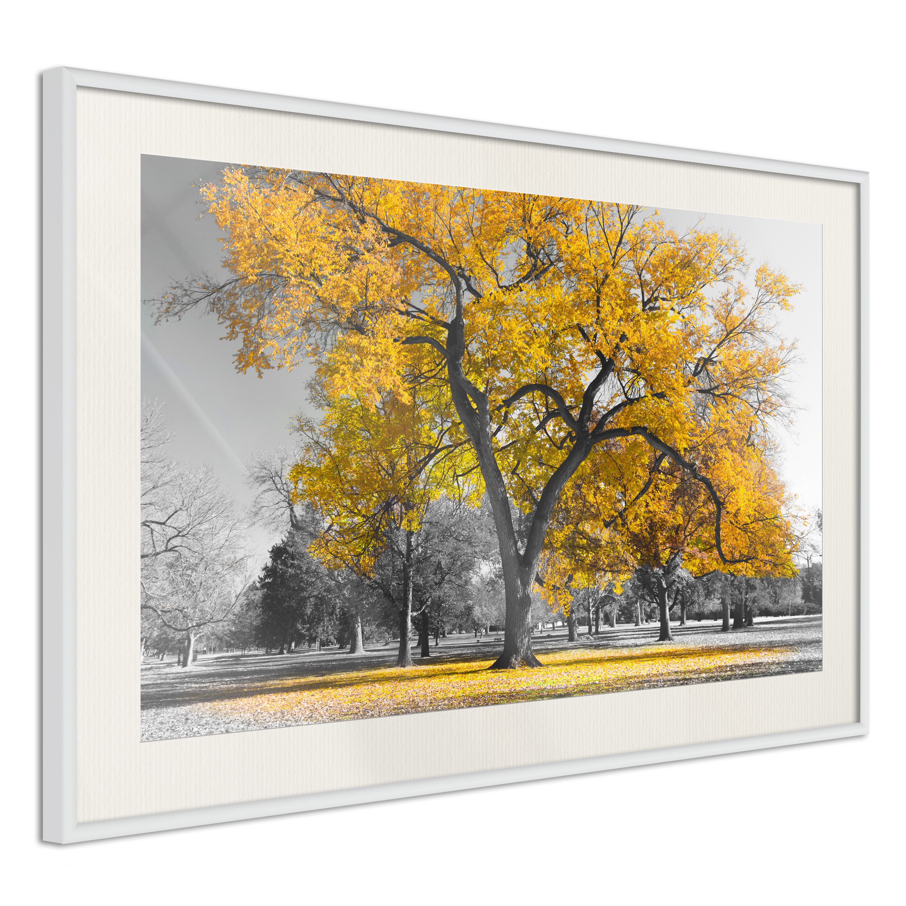 Poster - Golden Tree - 30x20