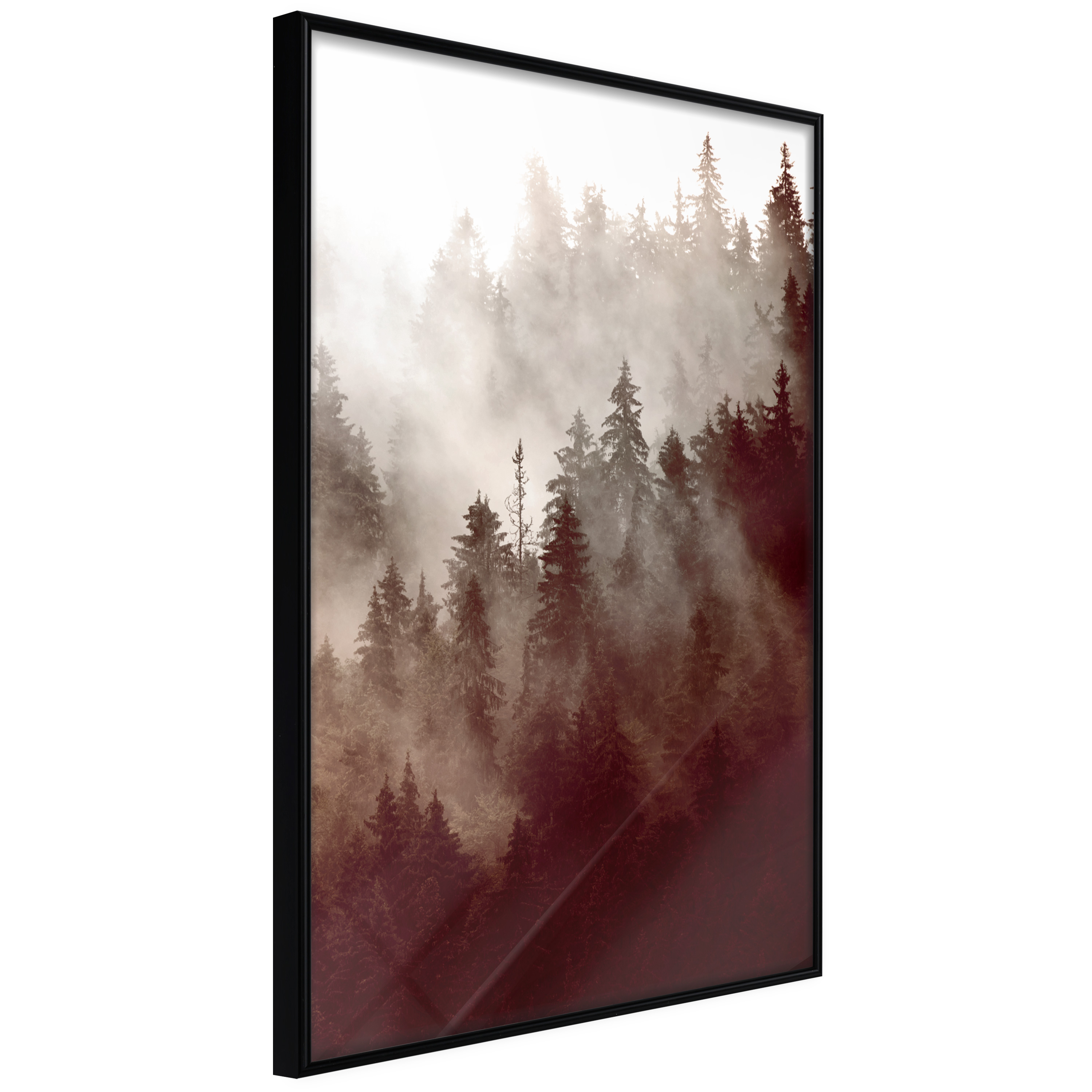 Poster - Forest Fog - 20x30