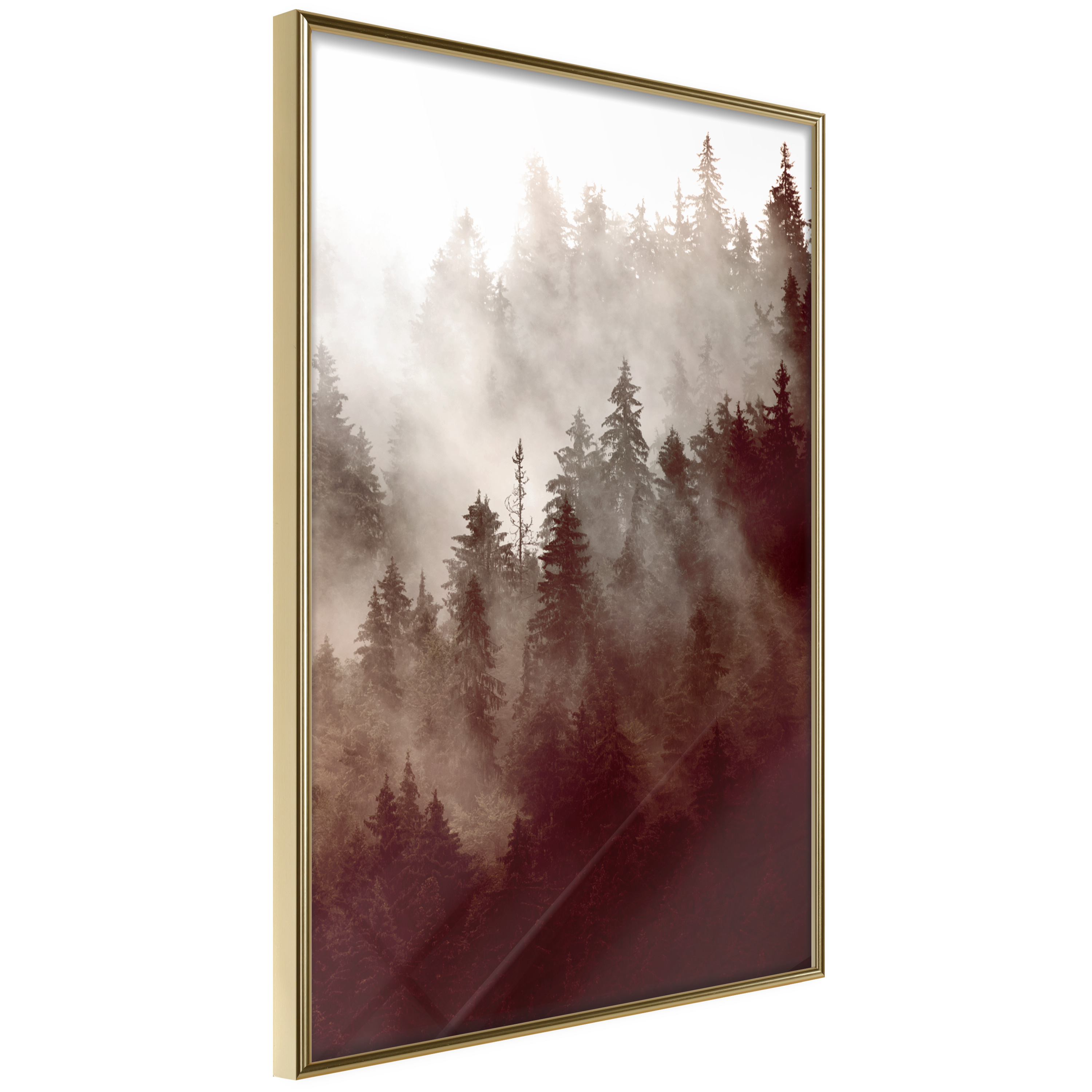 Poster - Forest Fog - 40x60