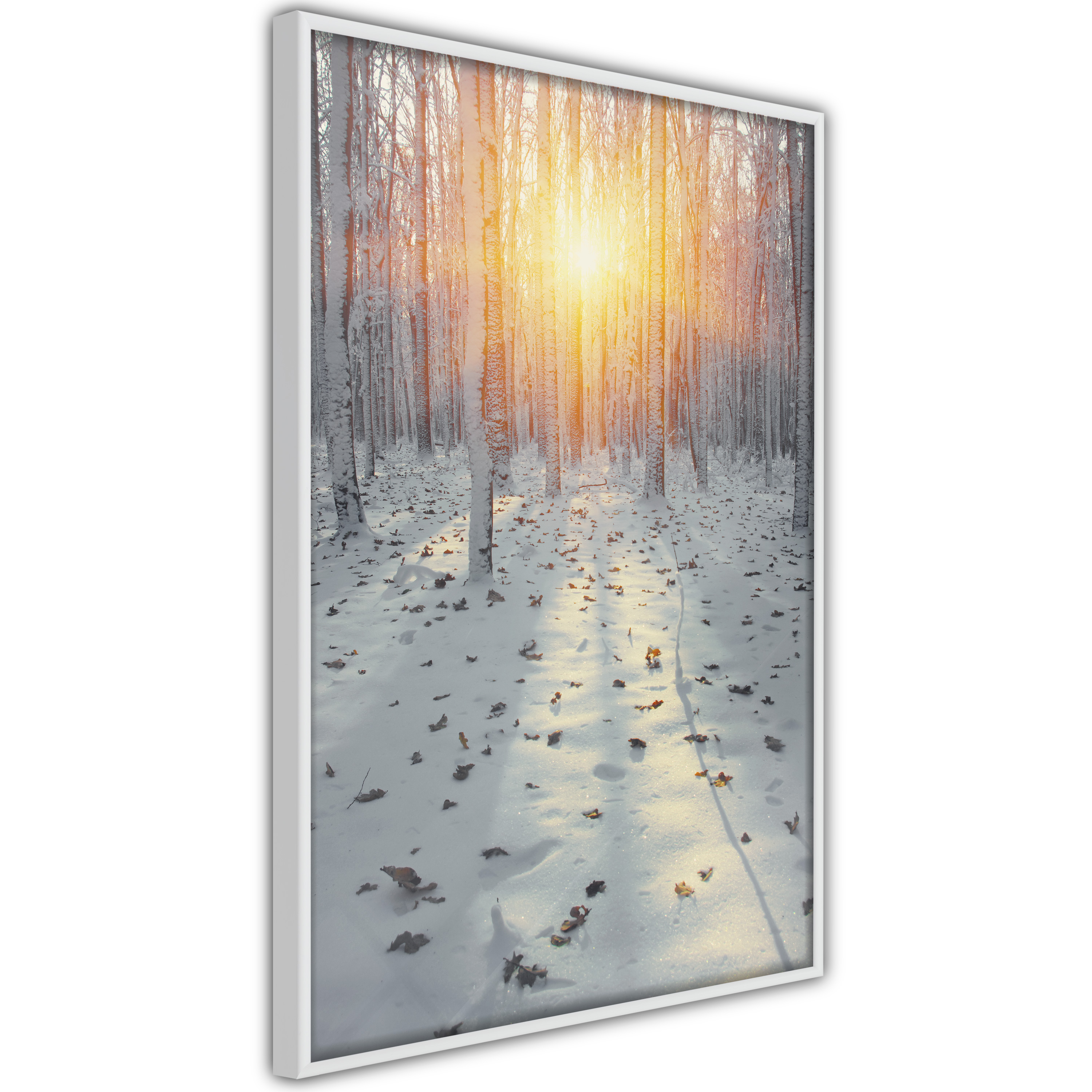 Poster - Frosty Sunset - 20x30