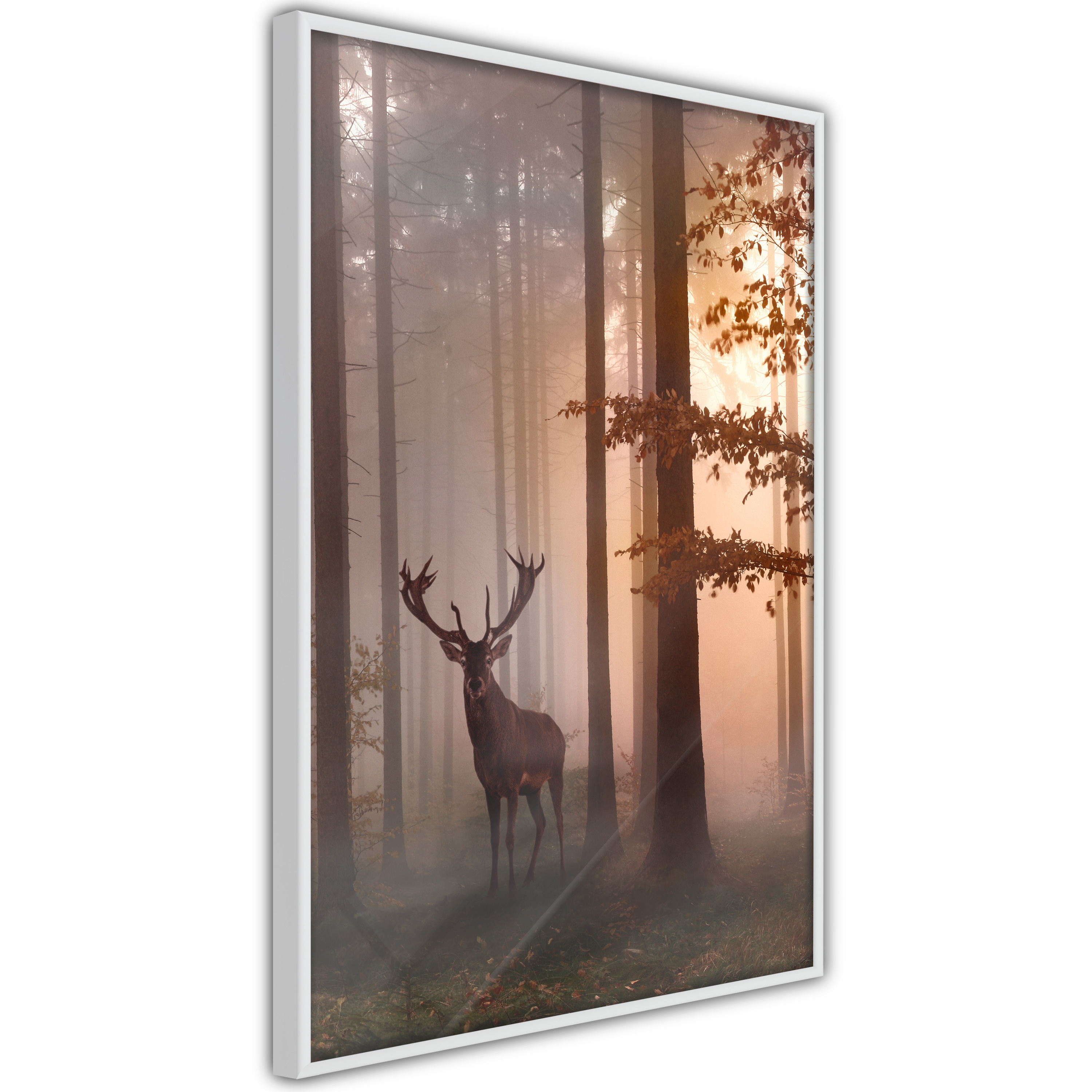 Poster - Forest Seclusion - 30x45