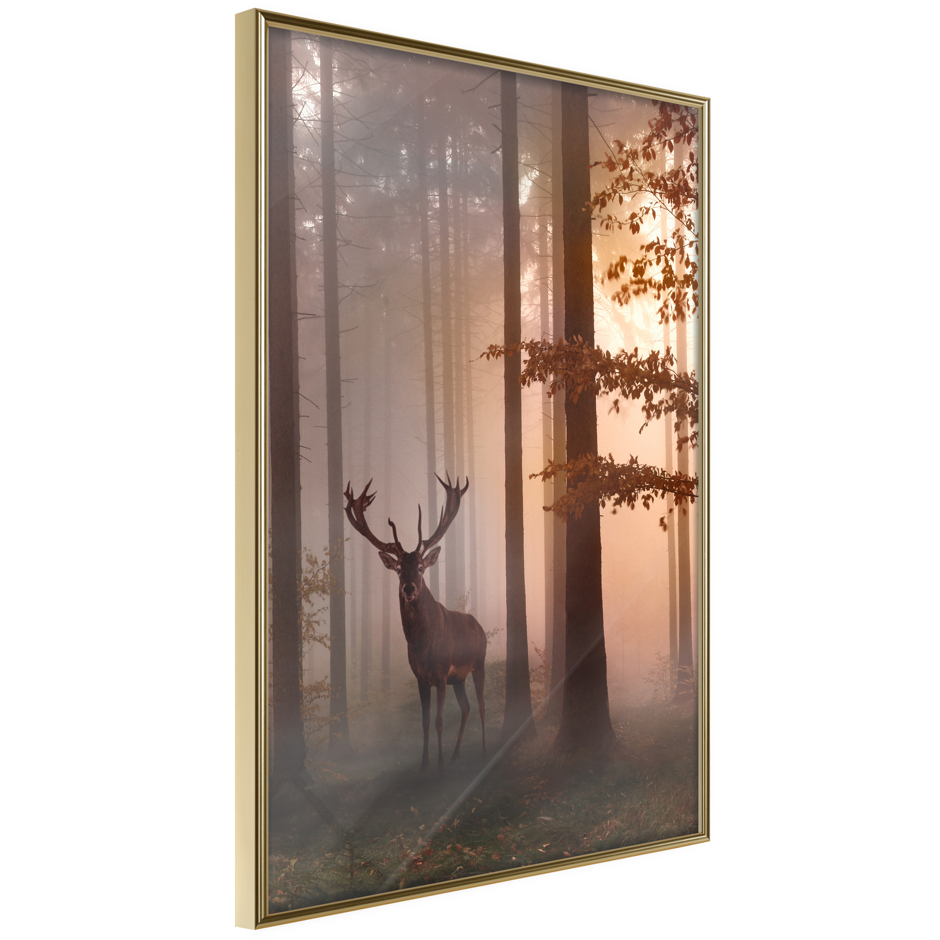 Poster - Forest Seclusion - 30x45