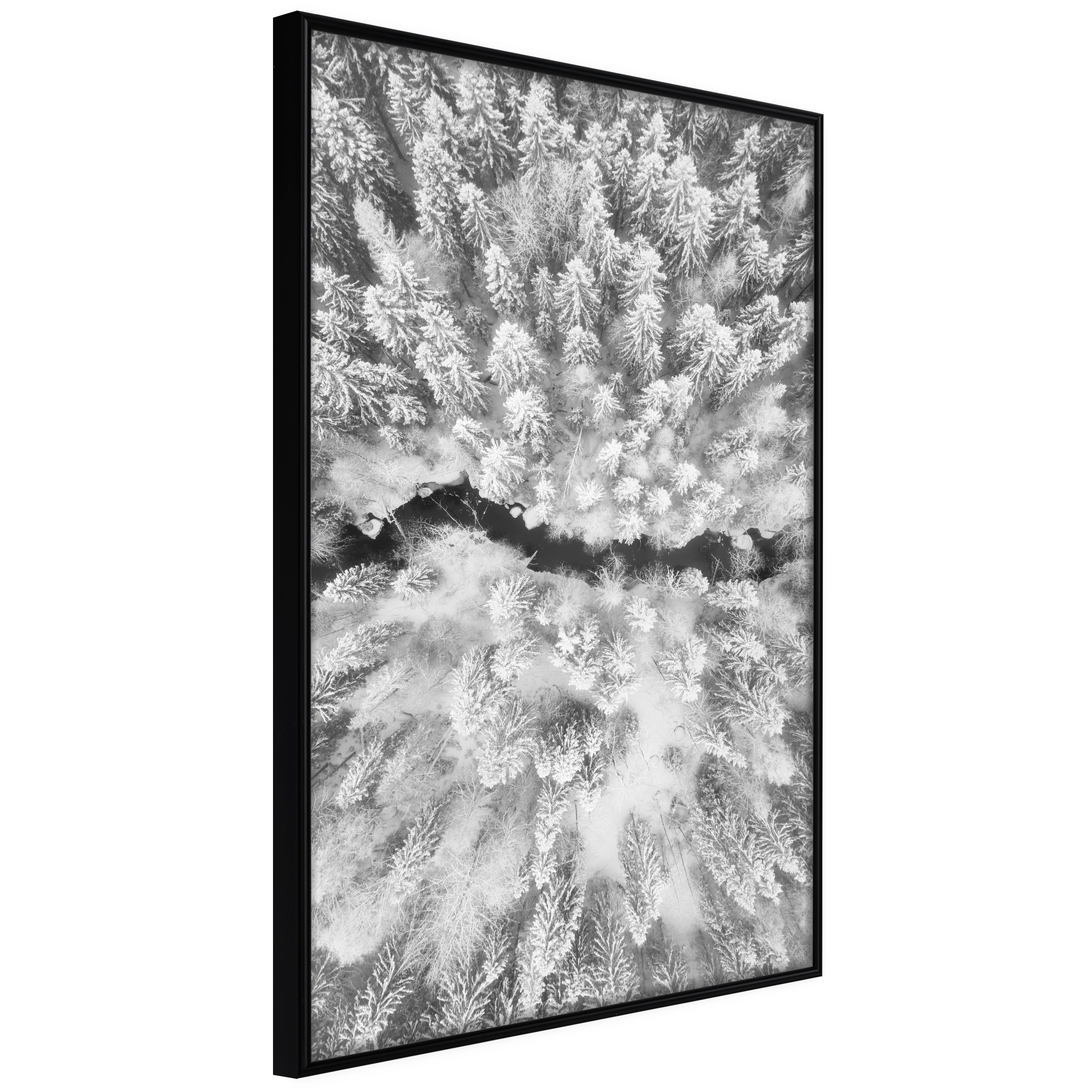 Poster - Frost Land - 20x30