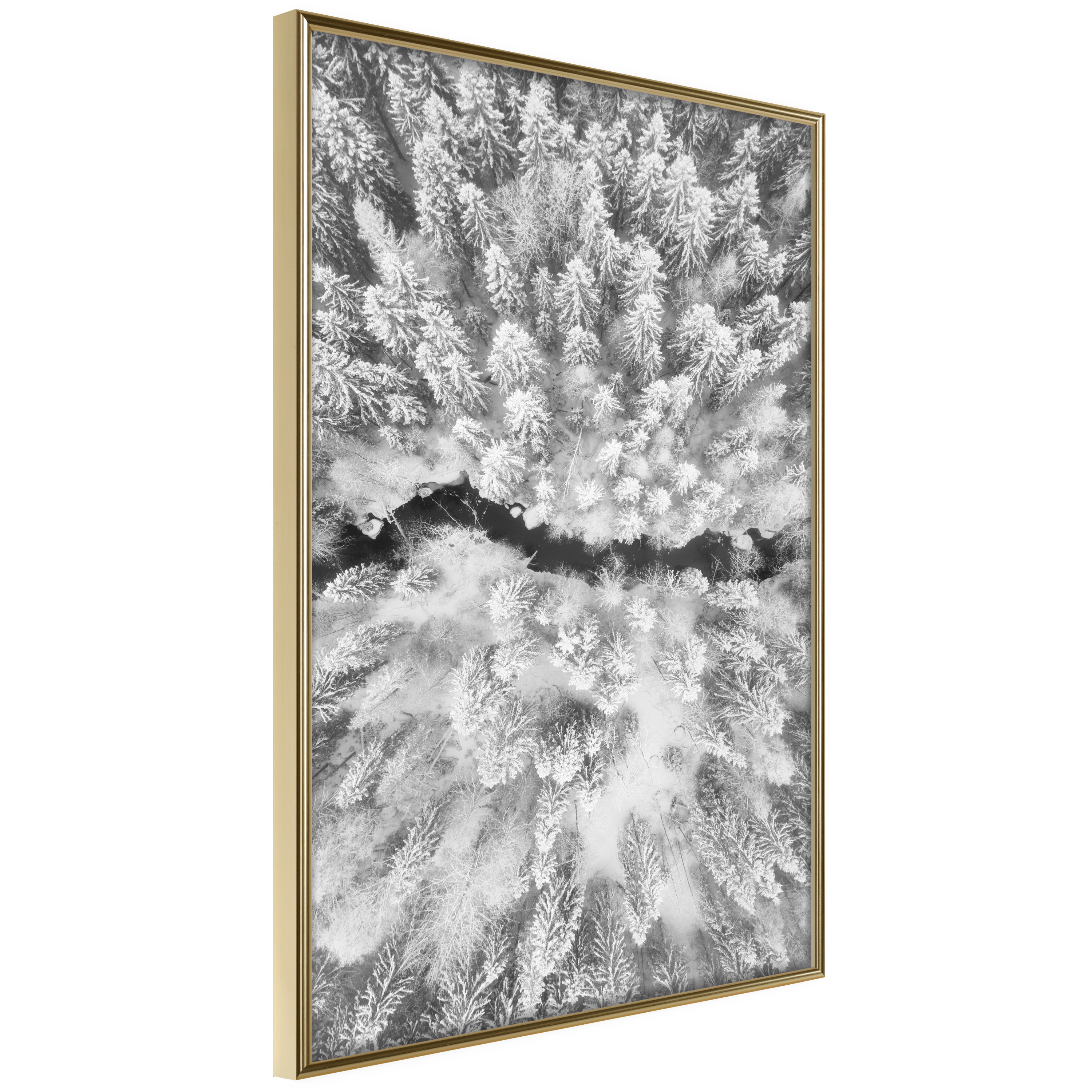 Poster - Frost Land - 30x45