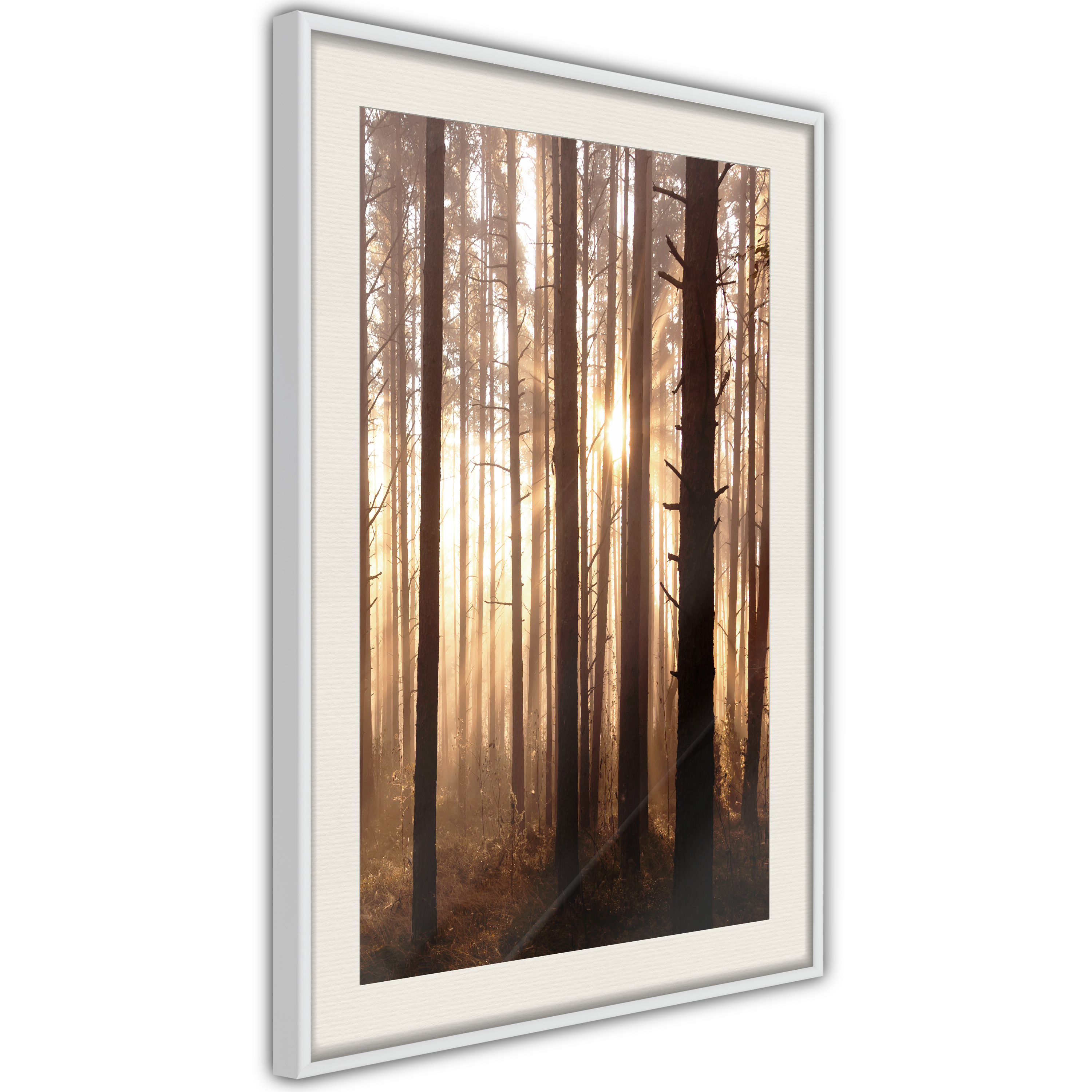 Poster - Morning in the Forest - 20x30