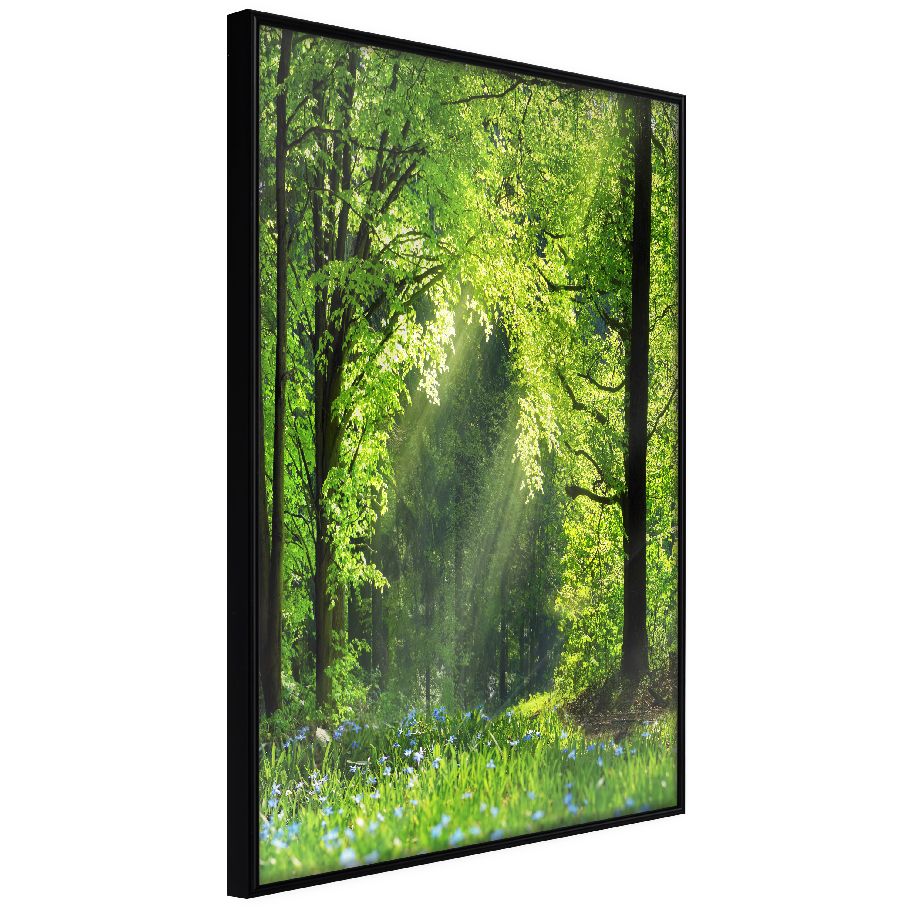 Poster - Forest Path - 40x60