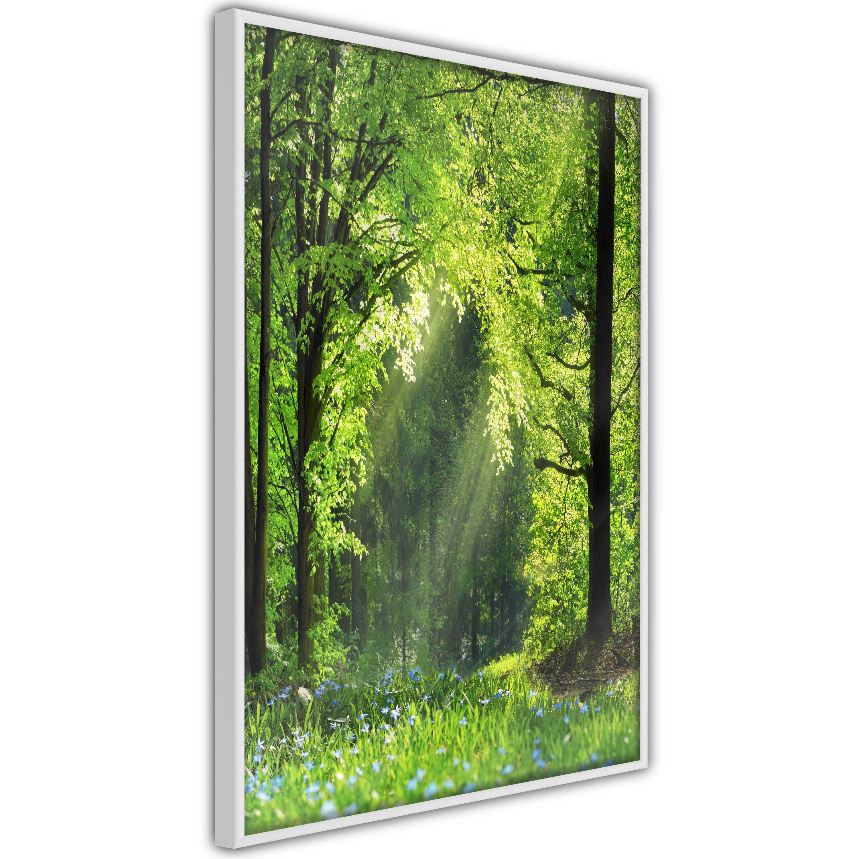 Poster - Forest Path - 20x30