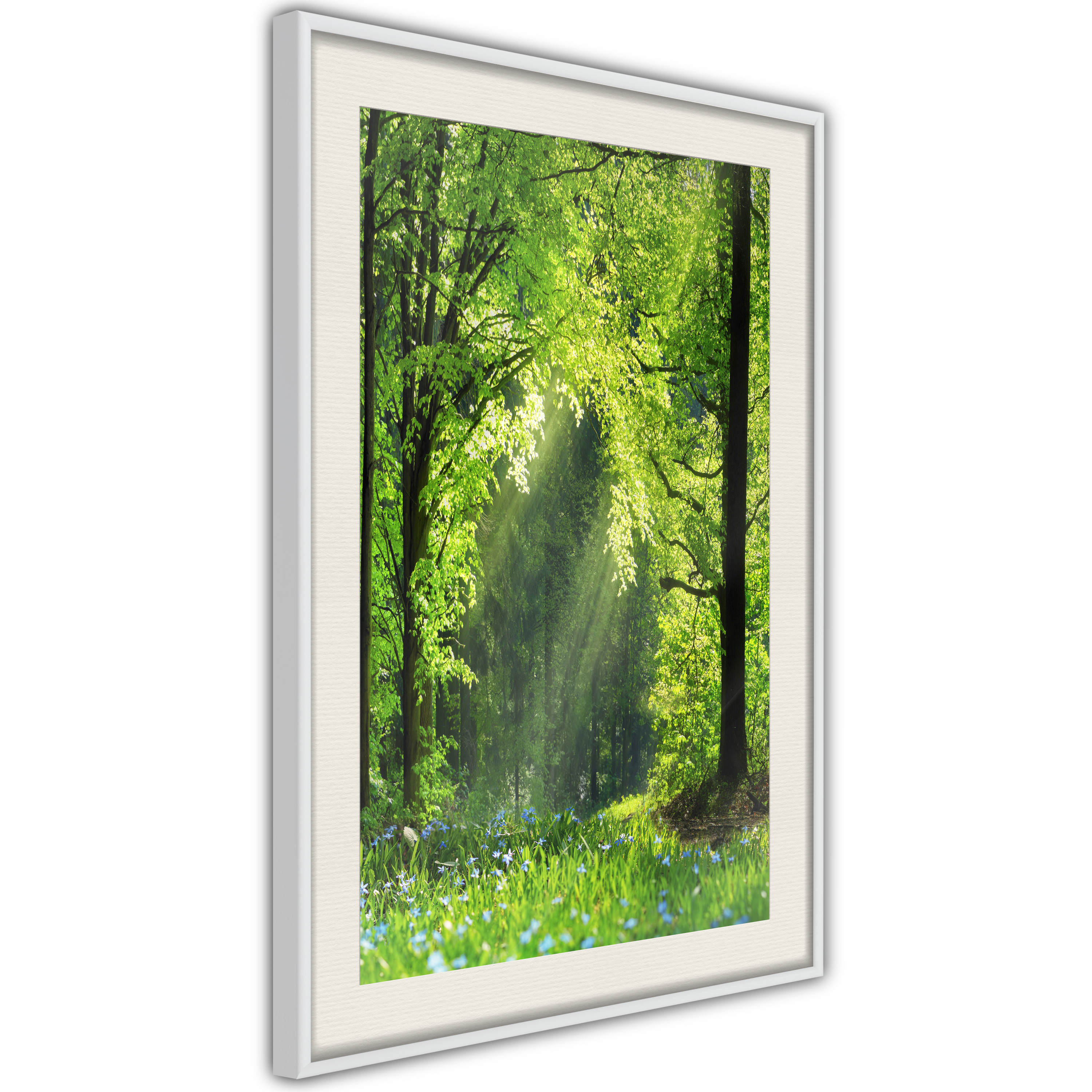 Poster - Forest Path - 30x45