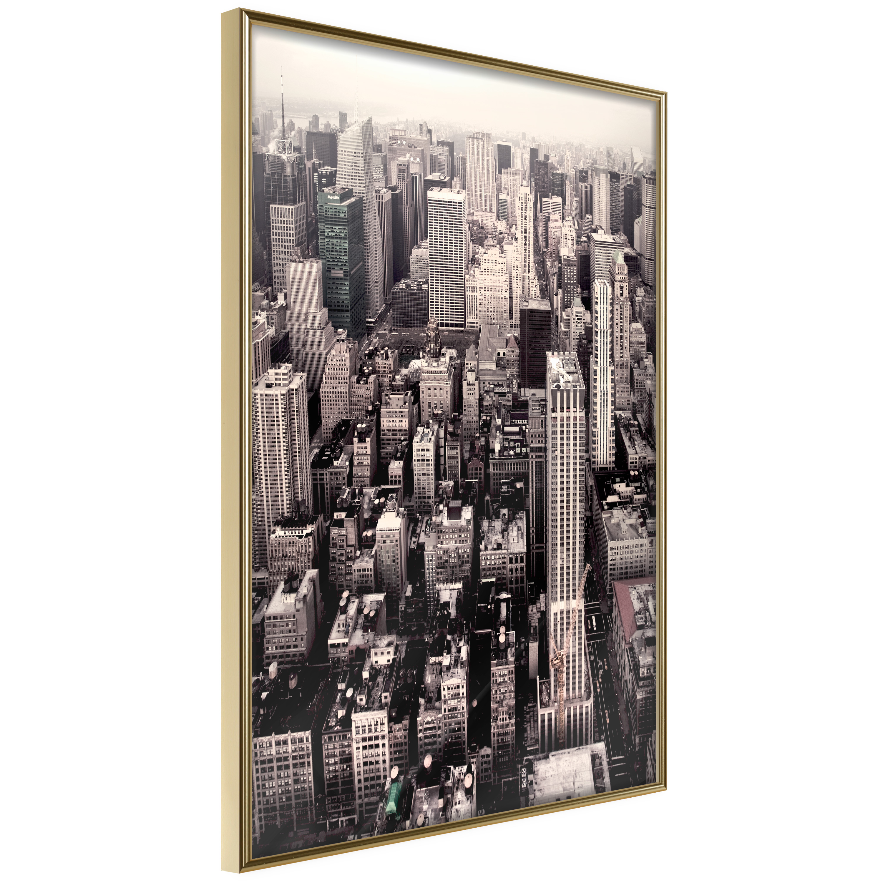 Poster - New York from a Bird's Eye View - 20x30