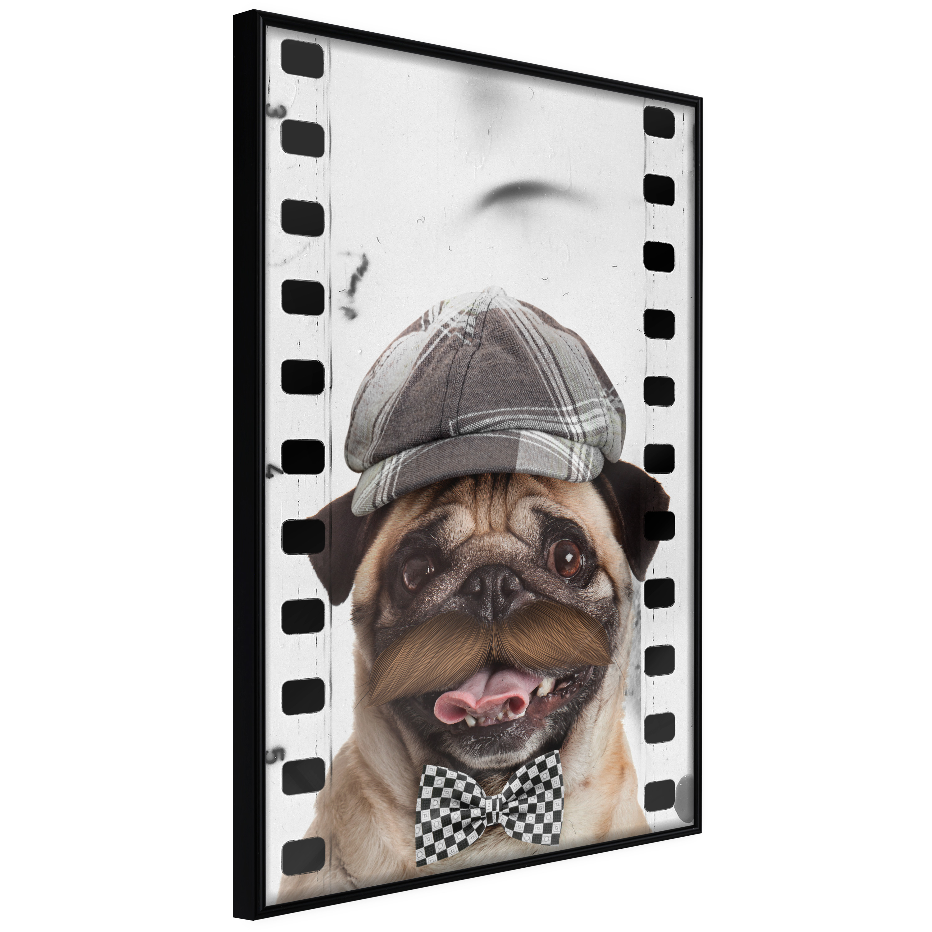 Poster - Dressed Up Pug - 20x30