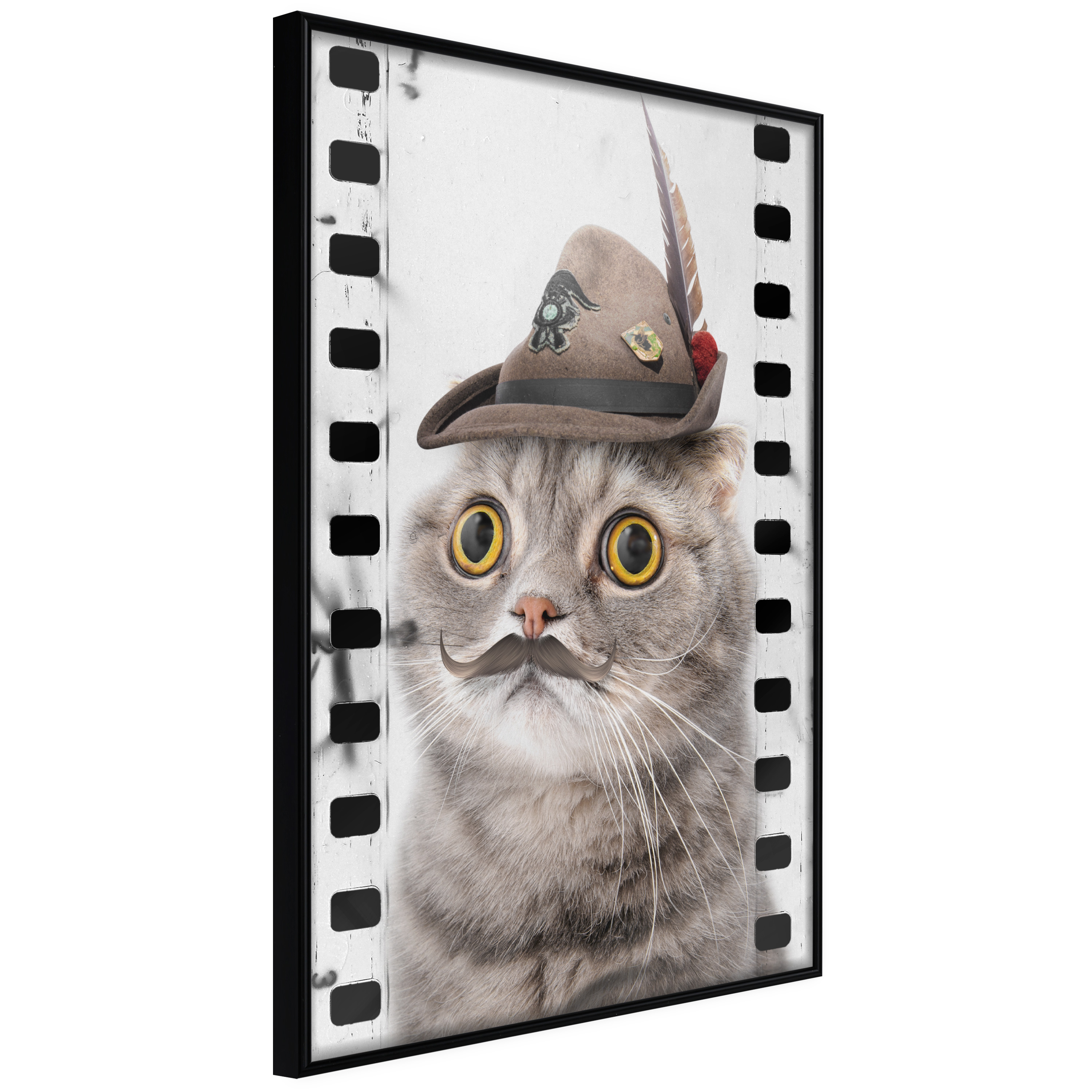 Poster - Dressed Up Cat - 20x30