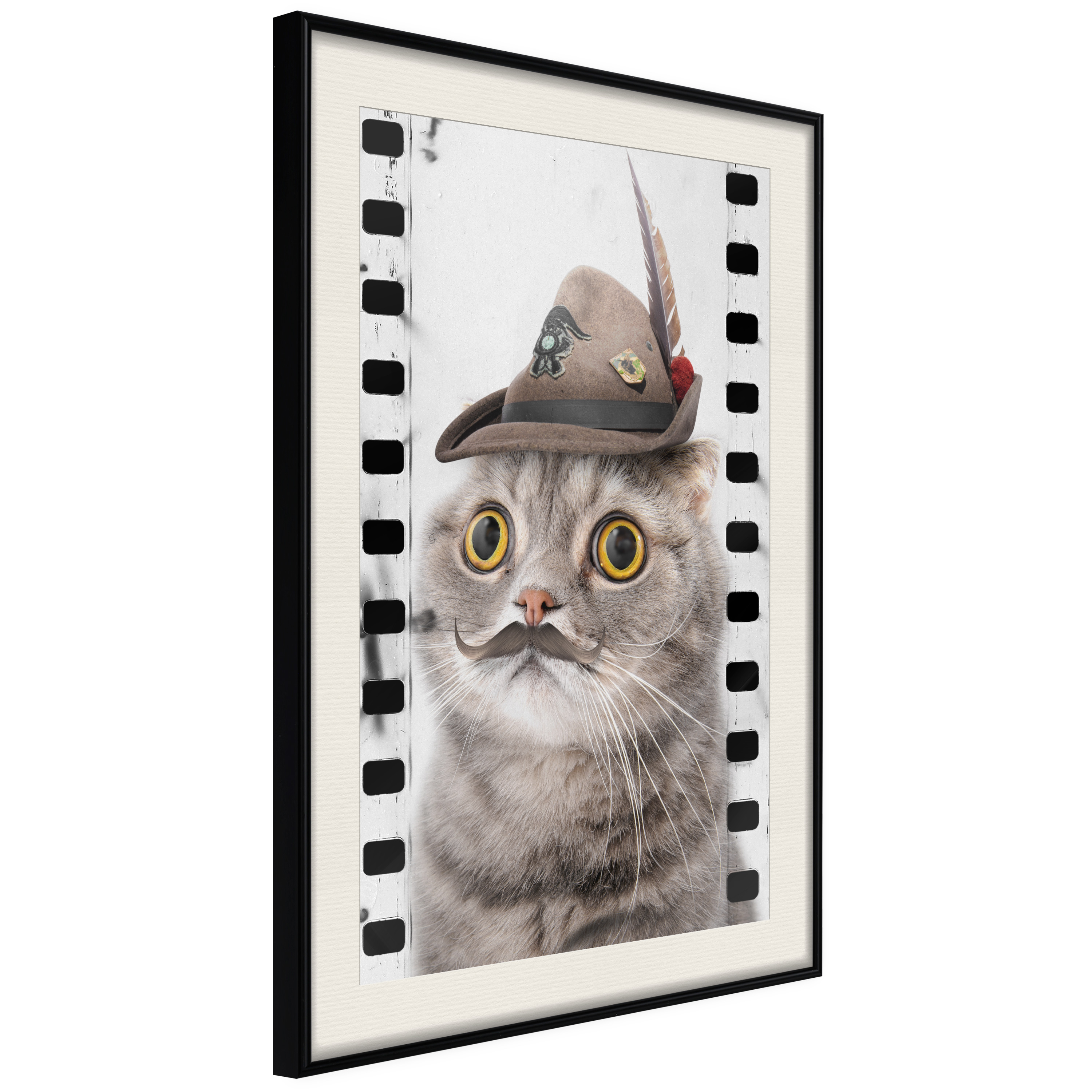 Poster - Dressed Up Cat - 20x30