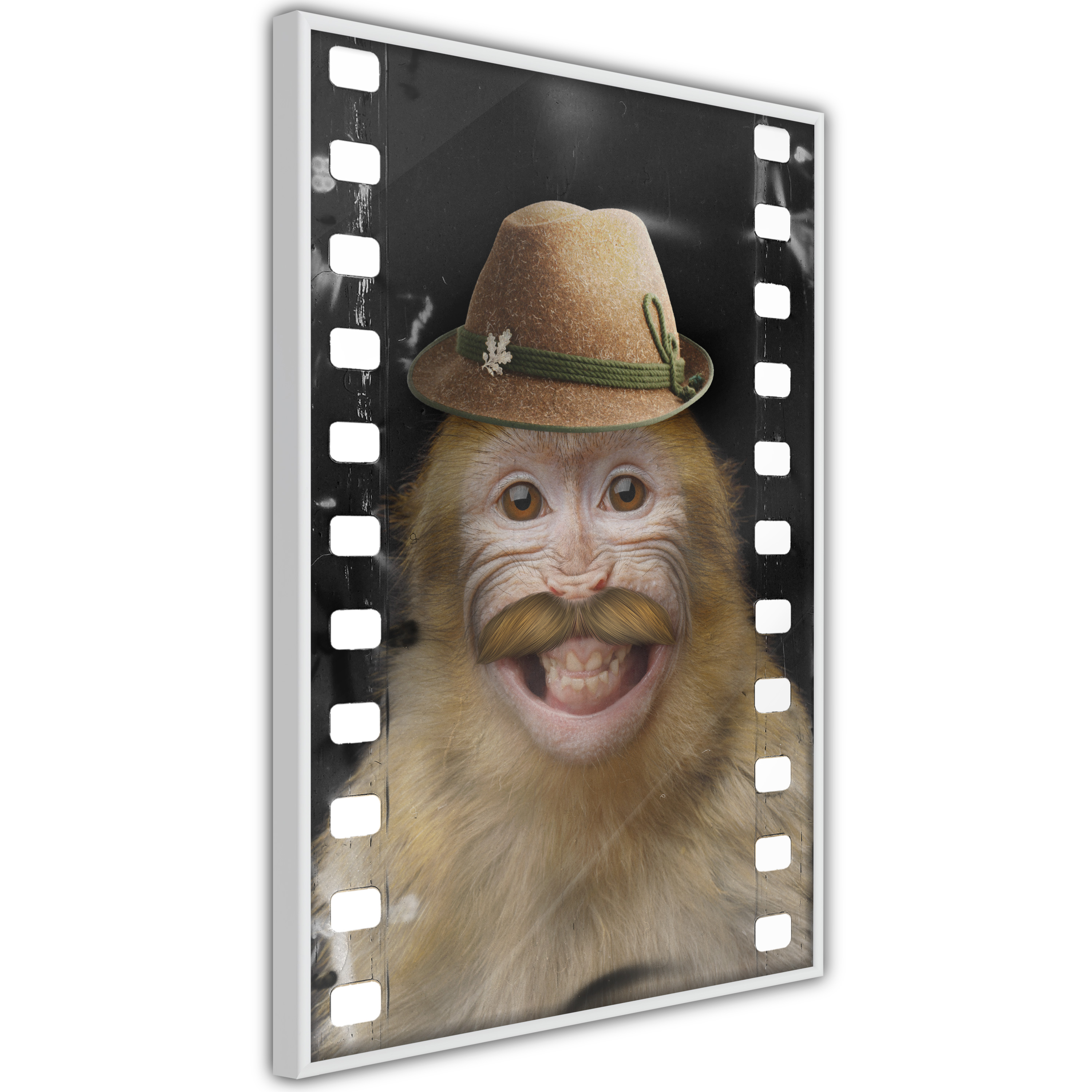 Poster - Dressed Up Monkey - 40x60