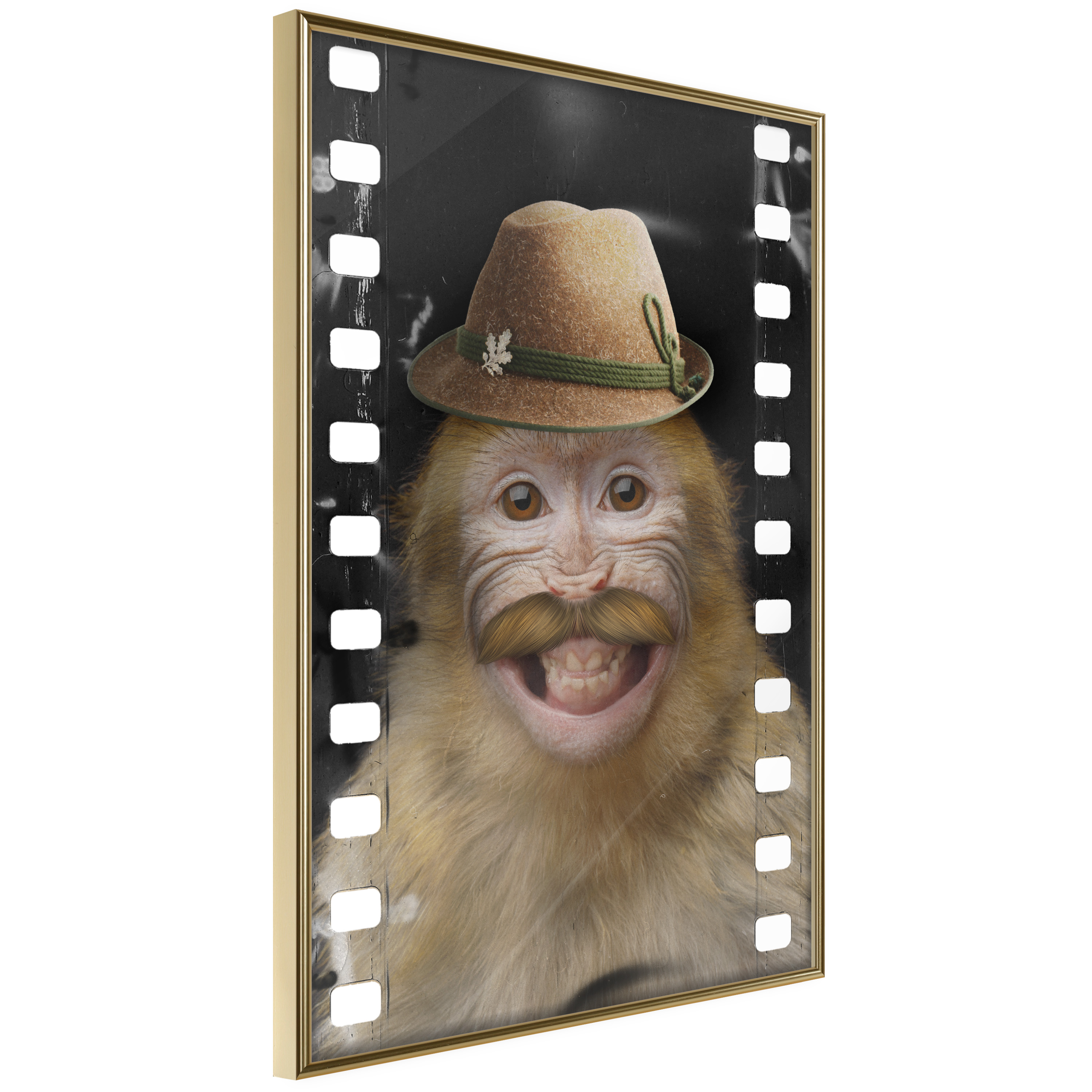 Poster - Dressed Up Monkey - 30x45
