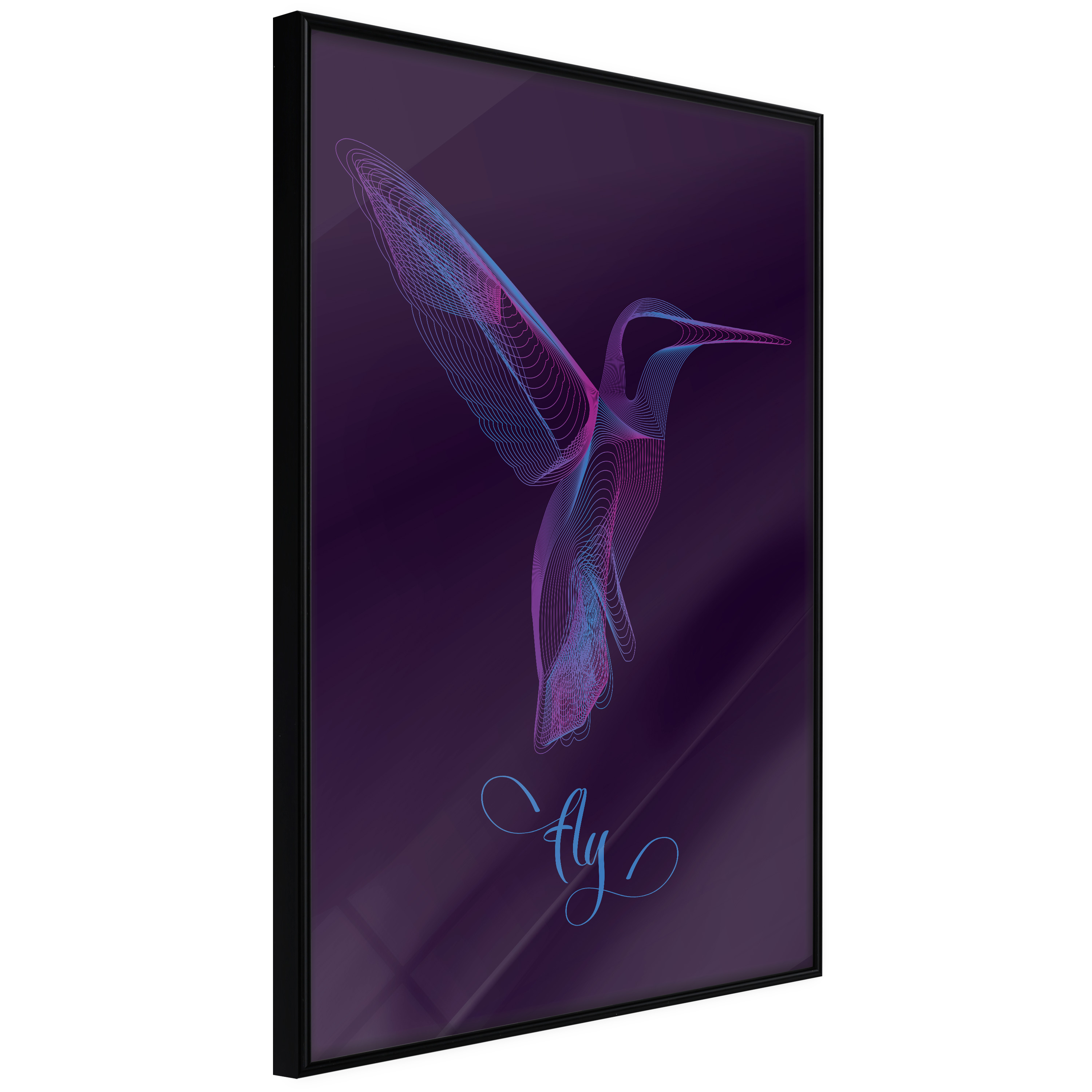 Poster - Fluorescent Hummingbird  - 40x60