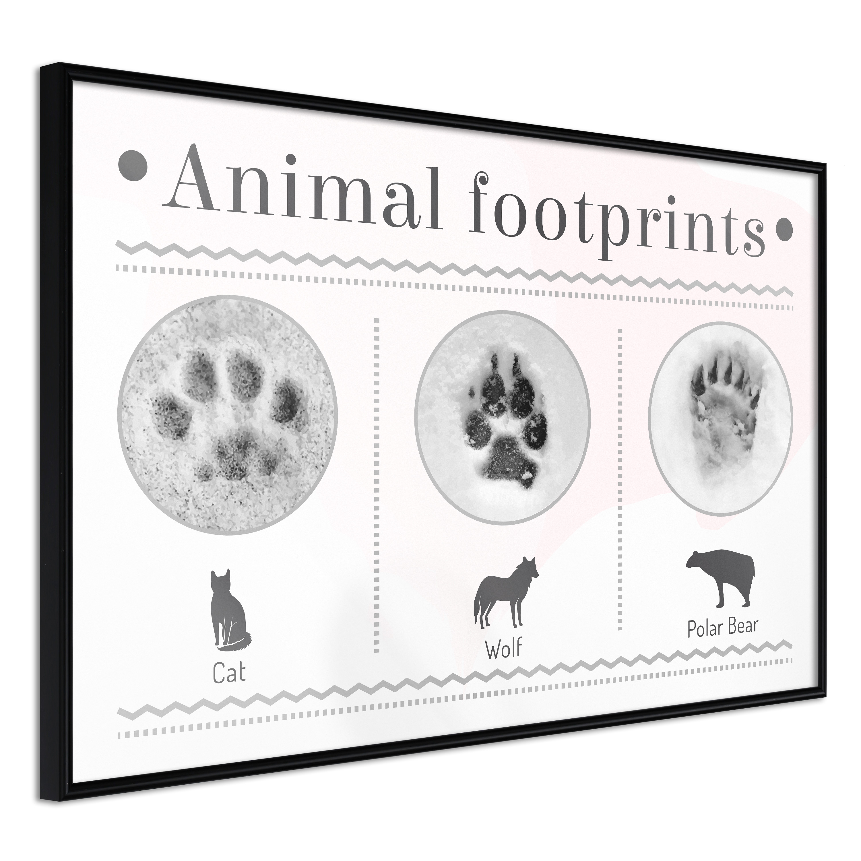 Poster - How to Recognize an Animal - 45x30