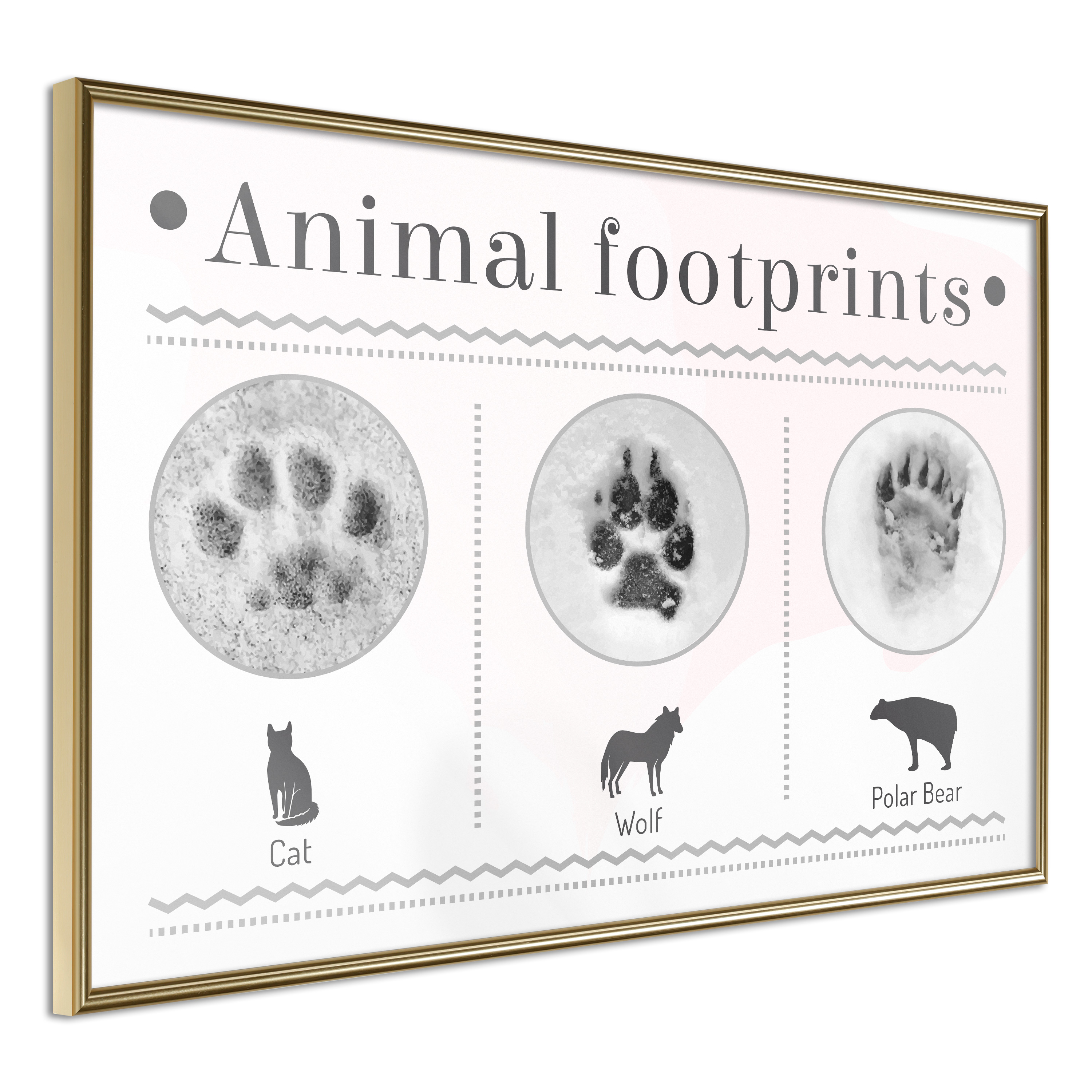 Poster - How to Recognize an Animal - 30x20