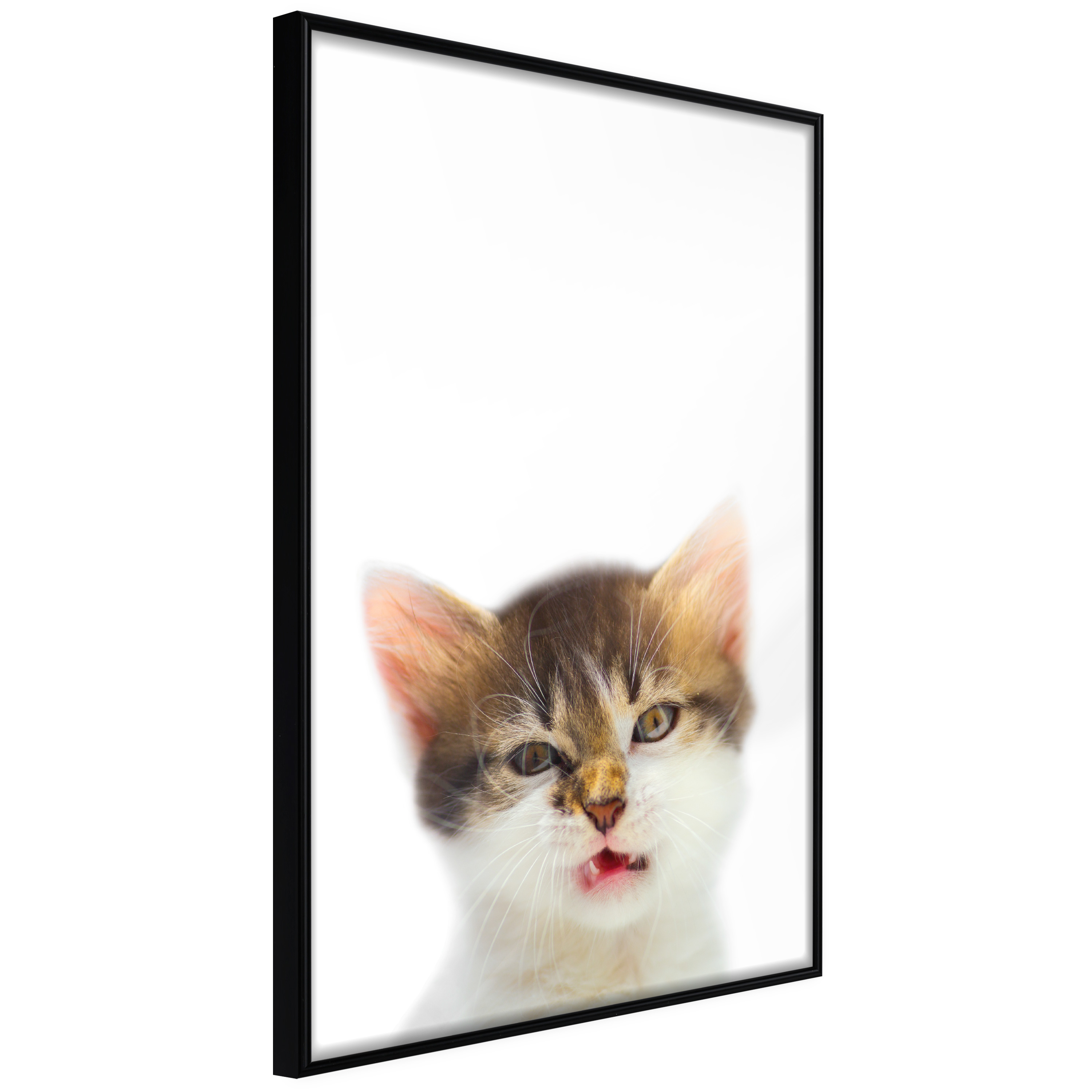 Poster - Funny Kitten - 20x30
