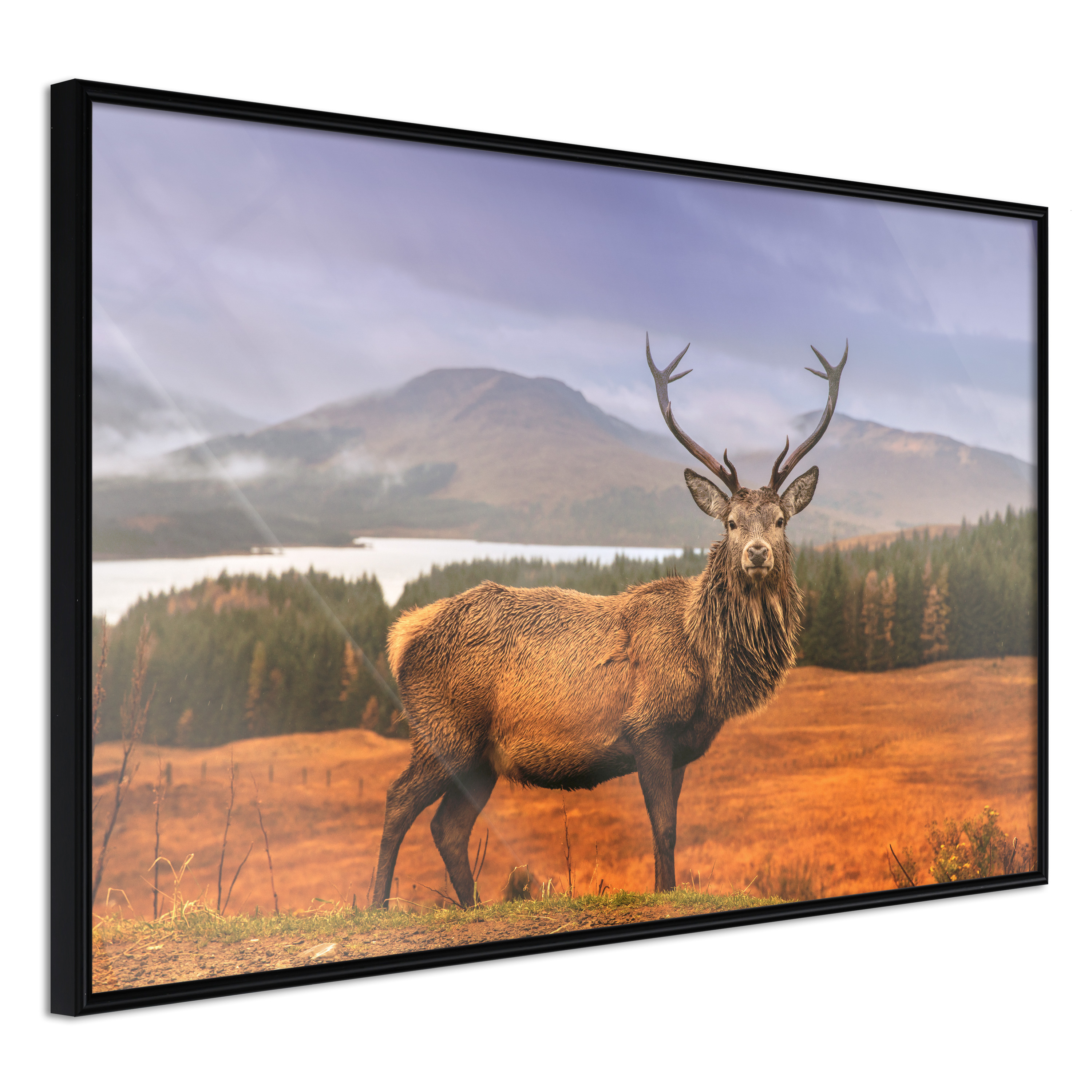 Poster - Majestic Deer - 30x20