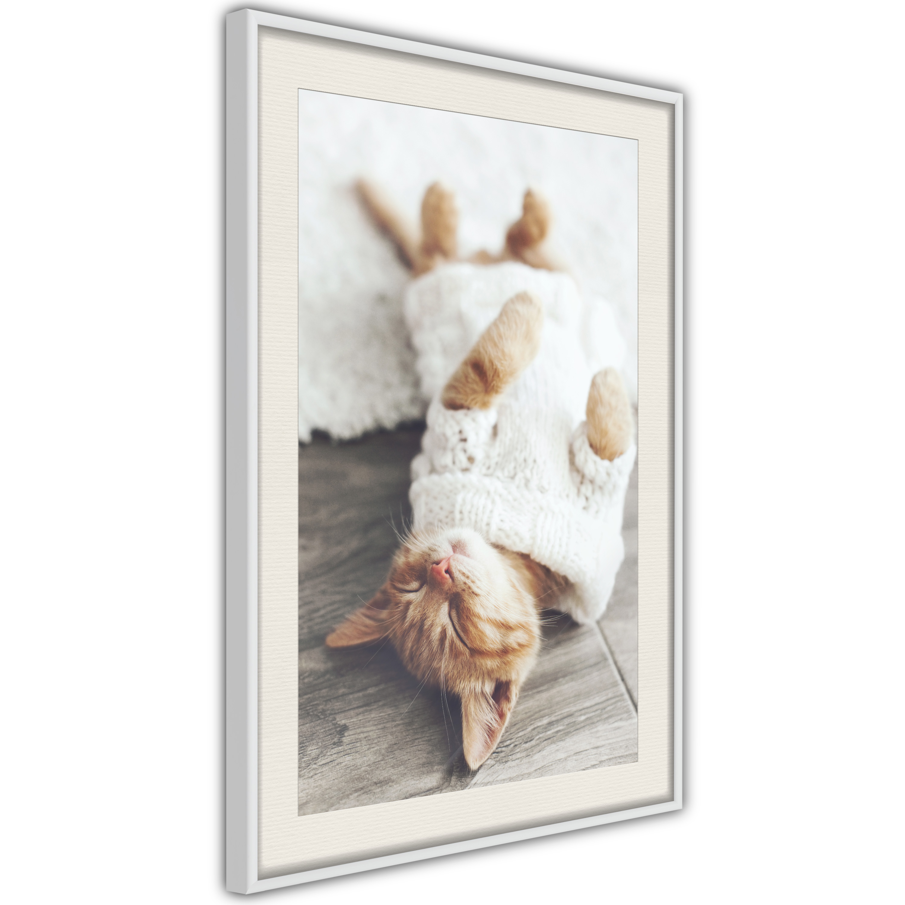 Poster - Kitten Life - 40x60