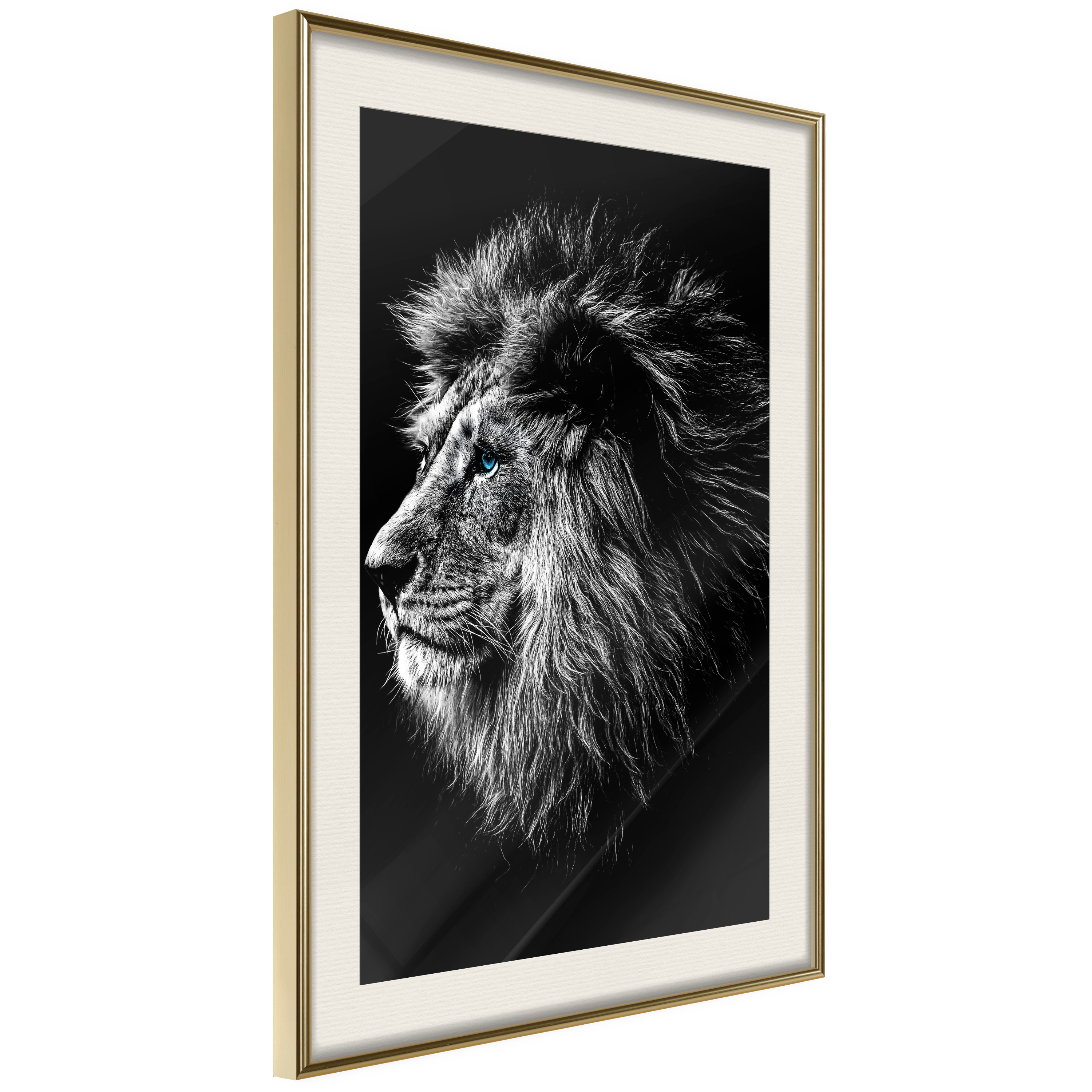 Poster - Old King - 40x60