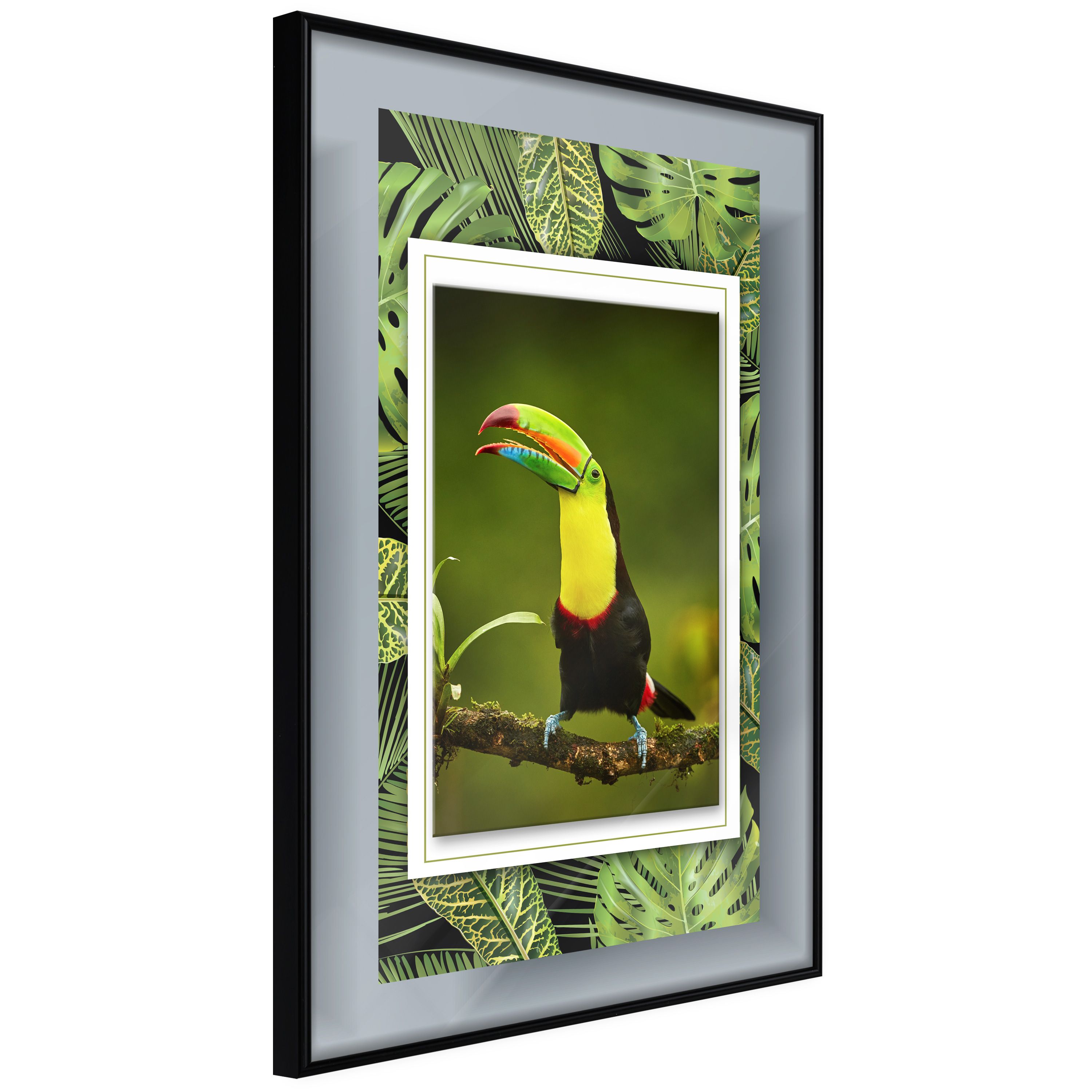 Poster - Toucan in the Frame - 20x30