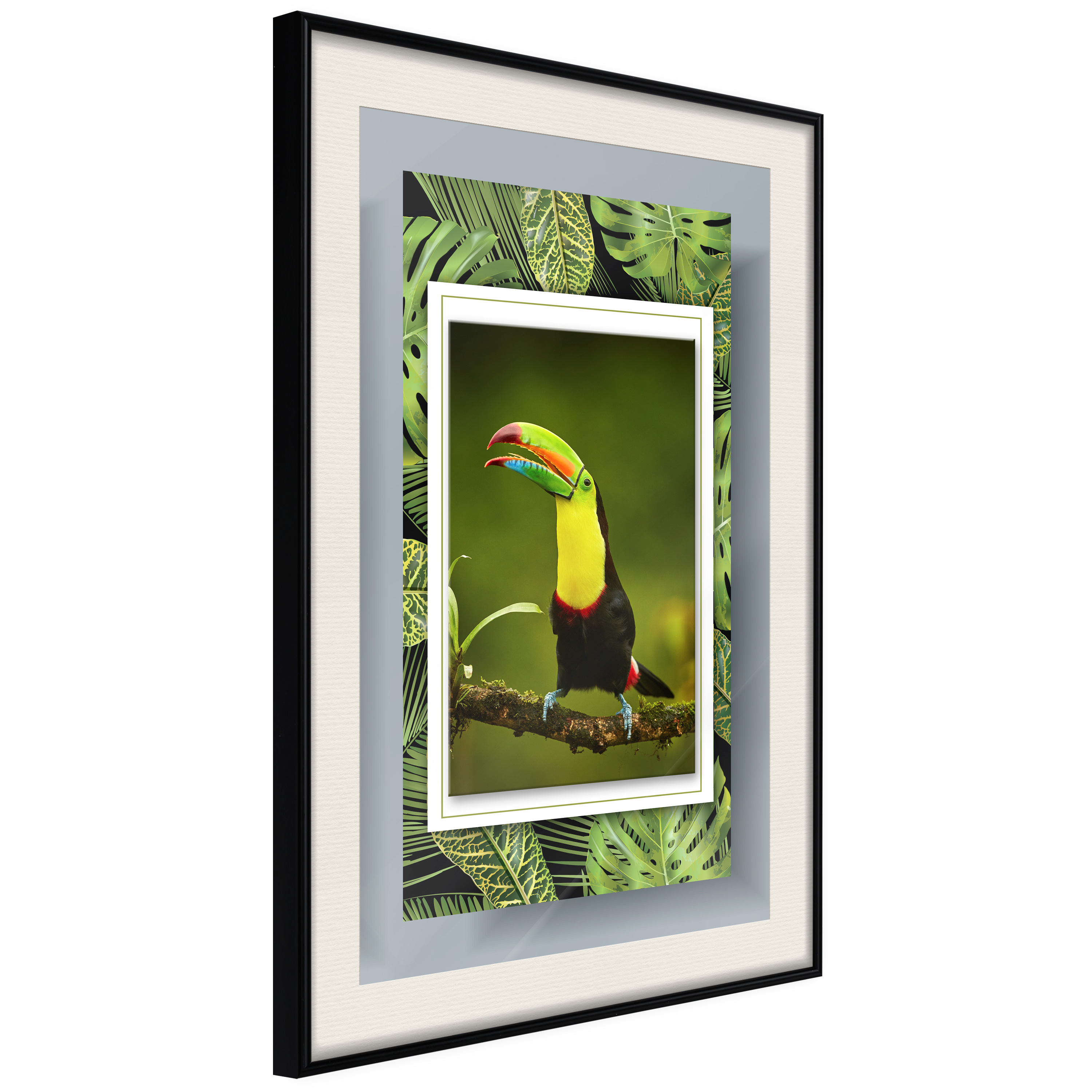 Poster - Toucan in the Frame - 30x45