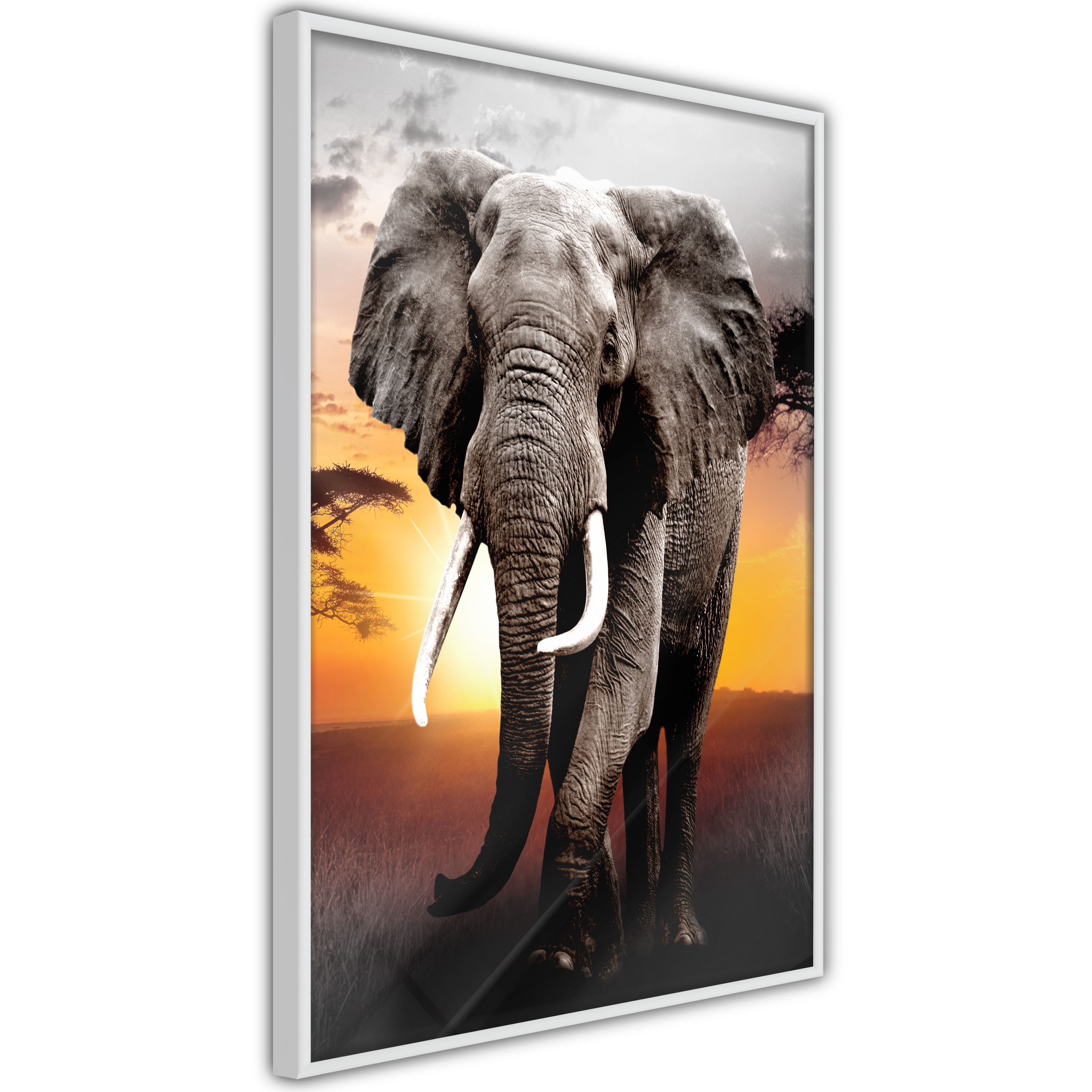 Poster - Majestic Elephant - 20x30