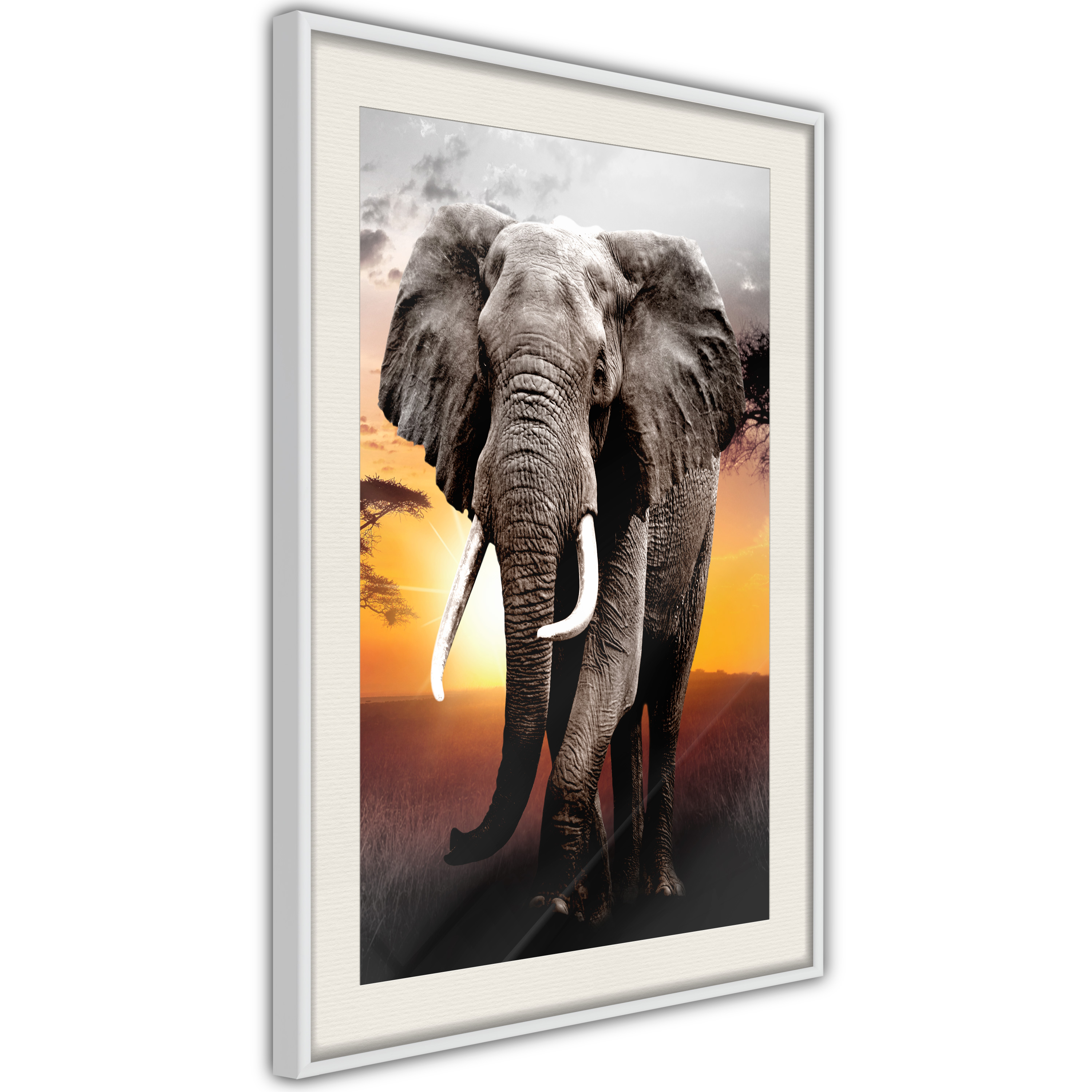 Poster - Majestic Elephant - 30x45