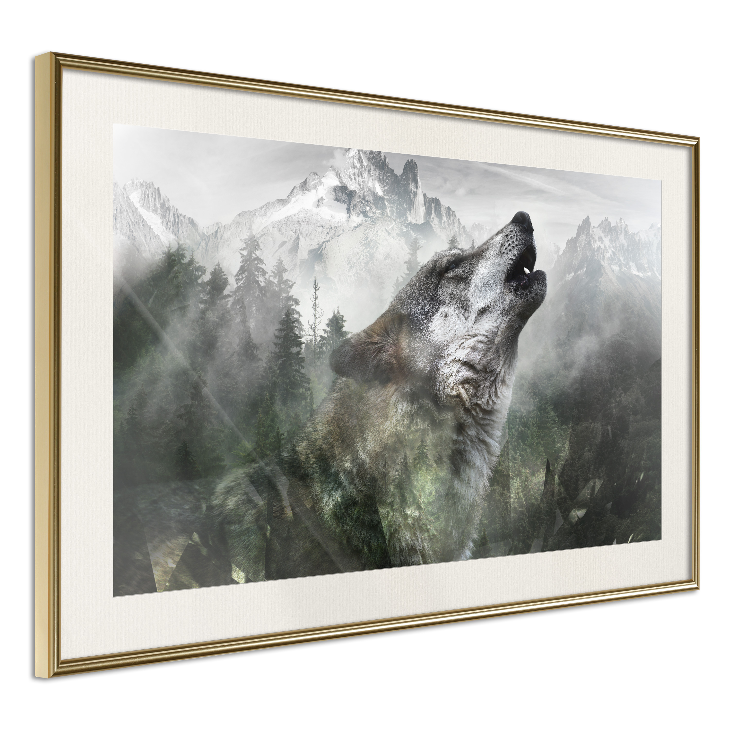 Poster - Wolf's Territory - 30x20