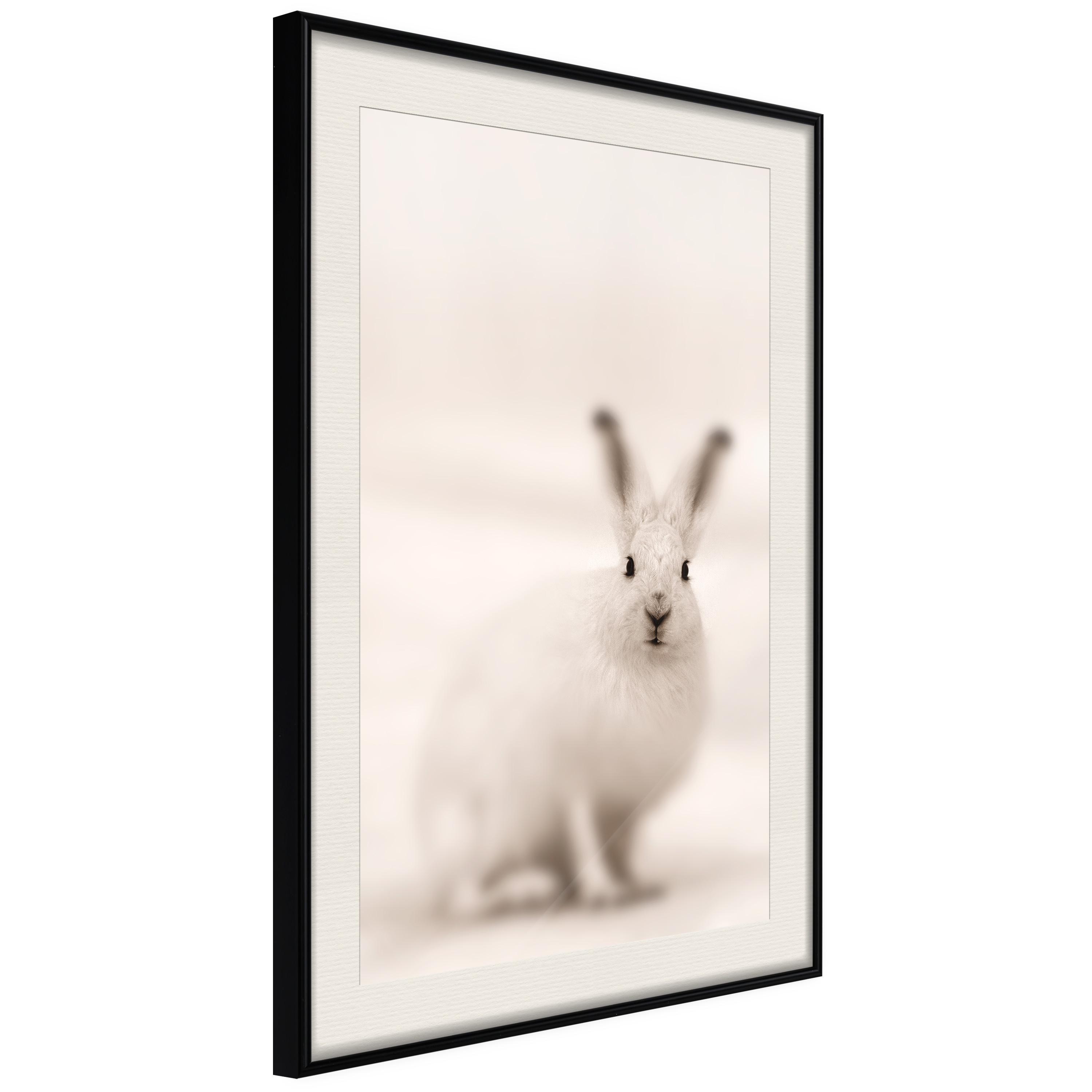 Poster - Curious Rabbit - 20x30