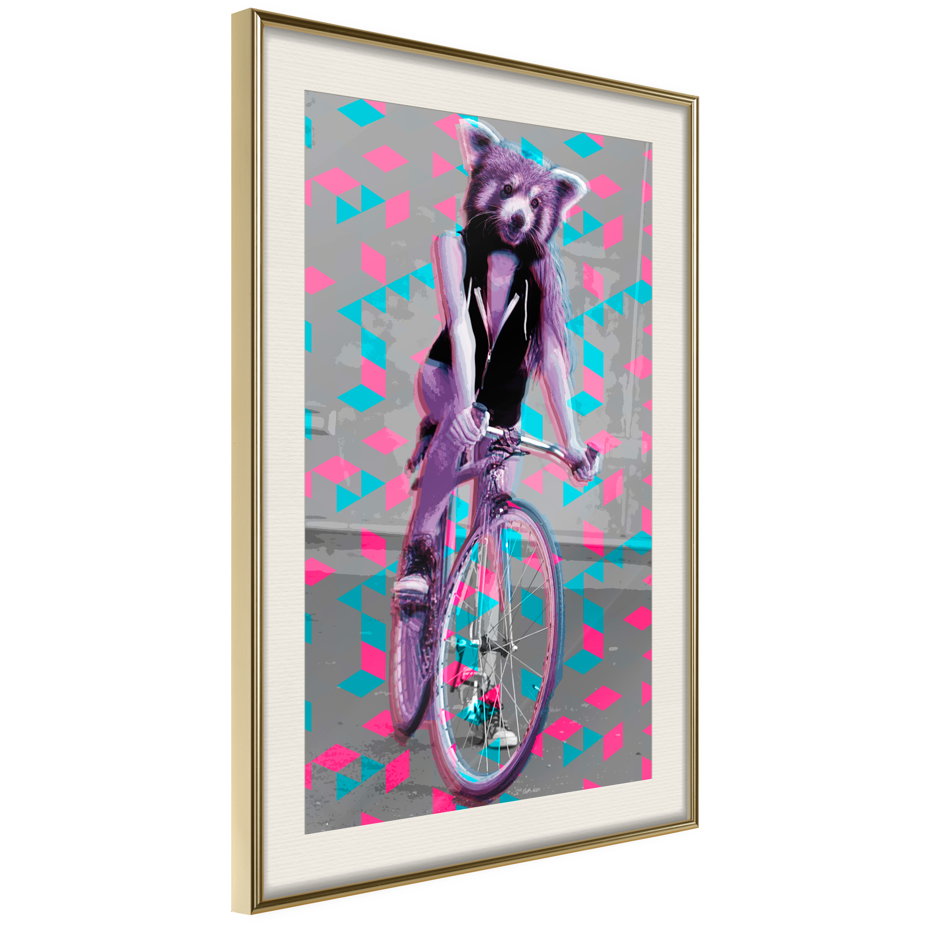 Poster - Extraordinary Cyclist - 30x45