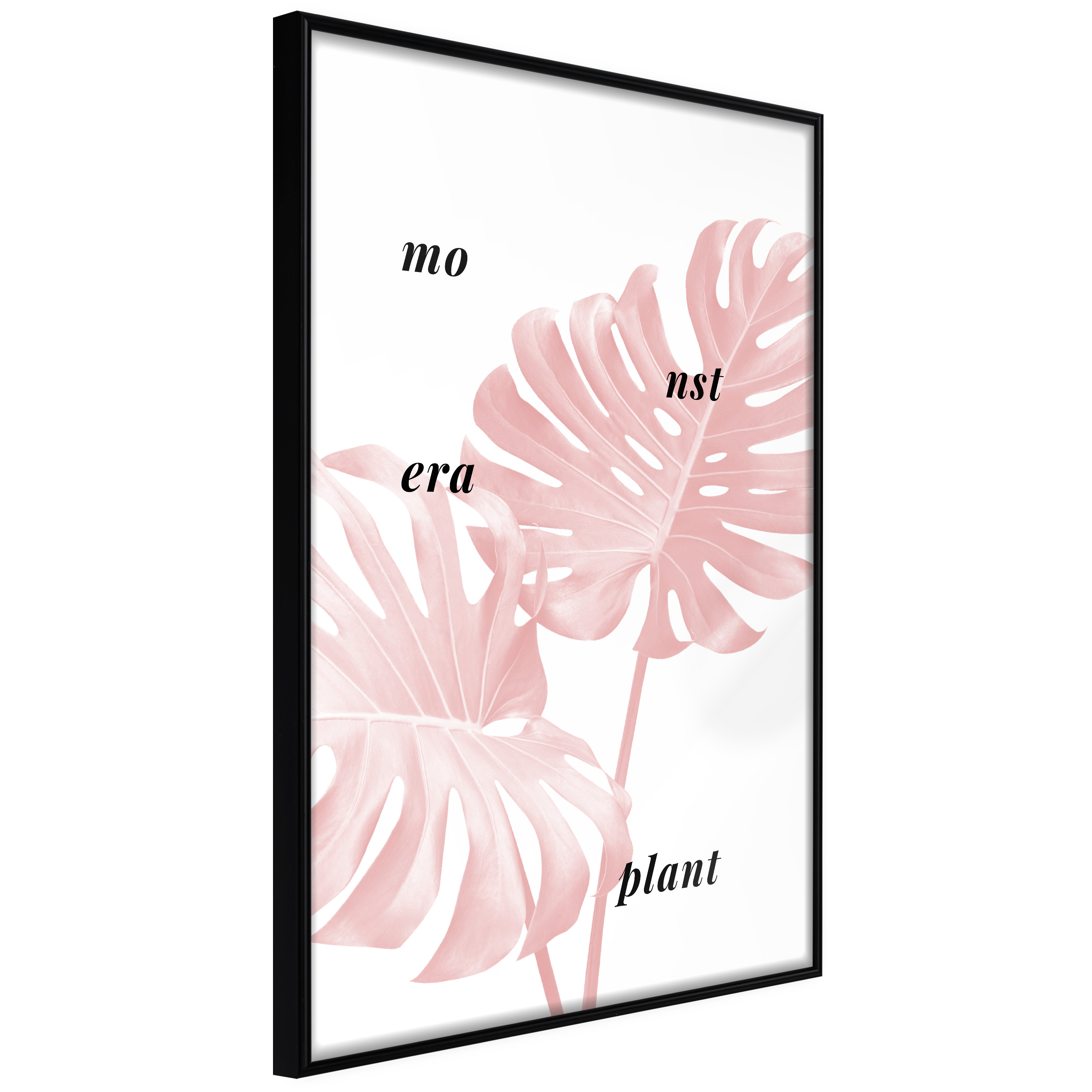 Poster - Pale Pink Monstera - 20x30