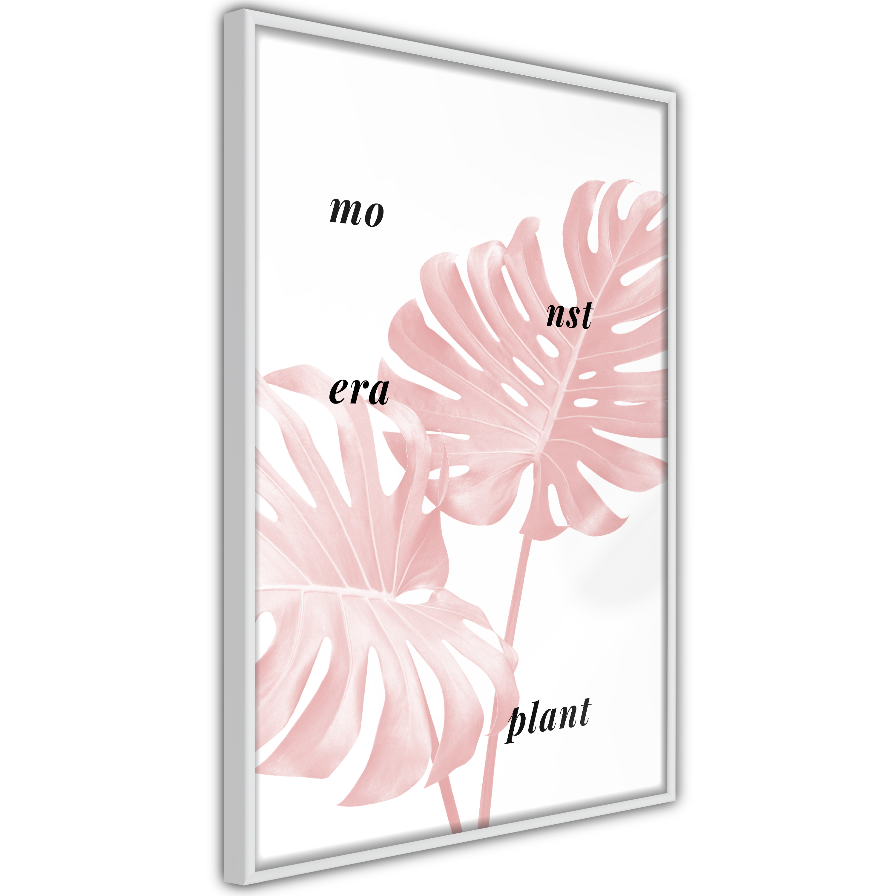Poster - Pale Pink Monstera - 40x60