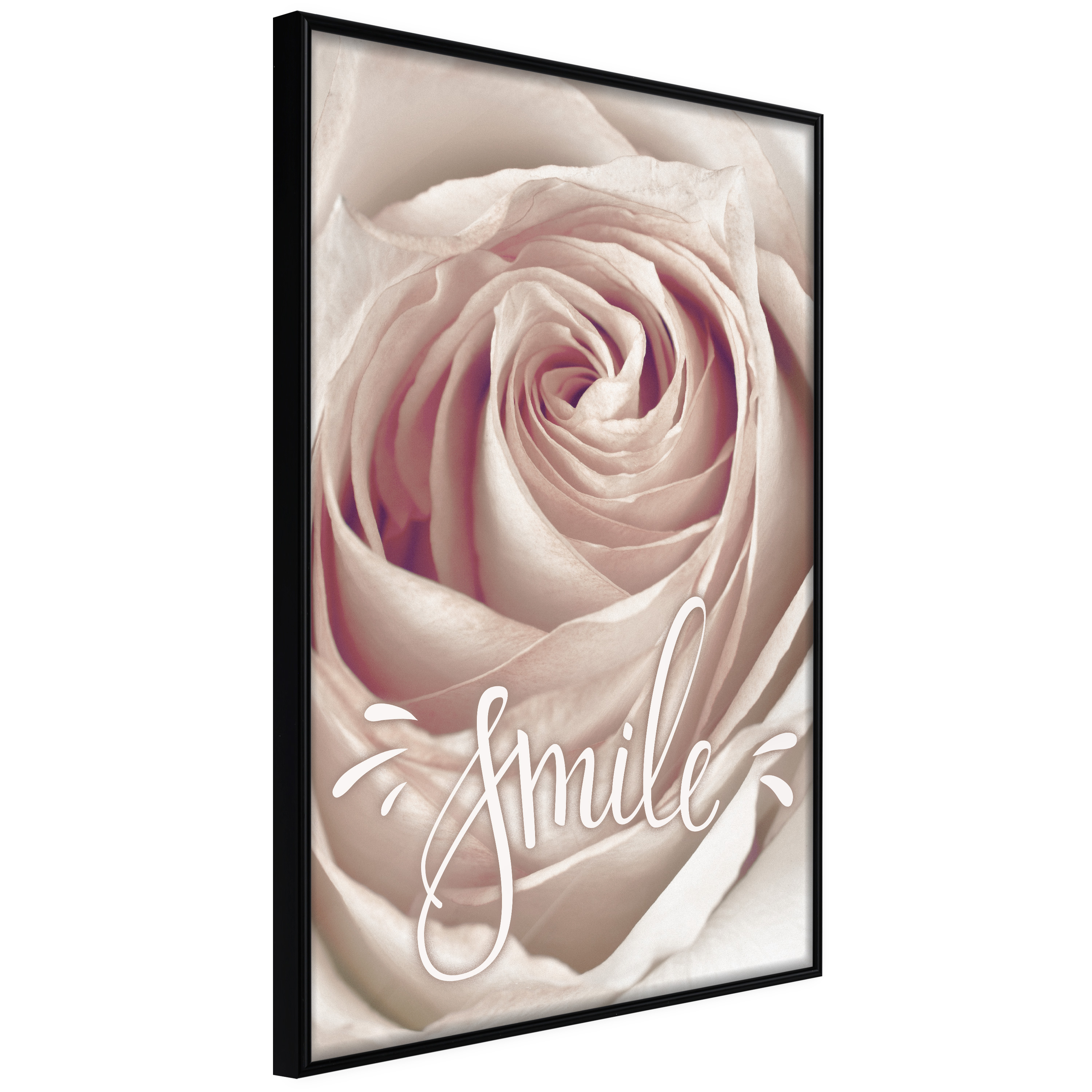 Poster - Rose with a Message  - 20x30