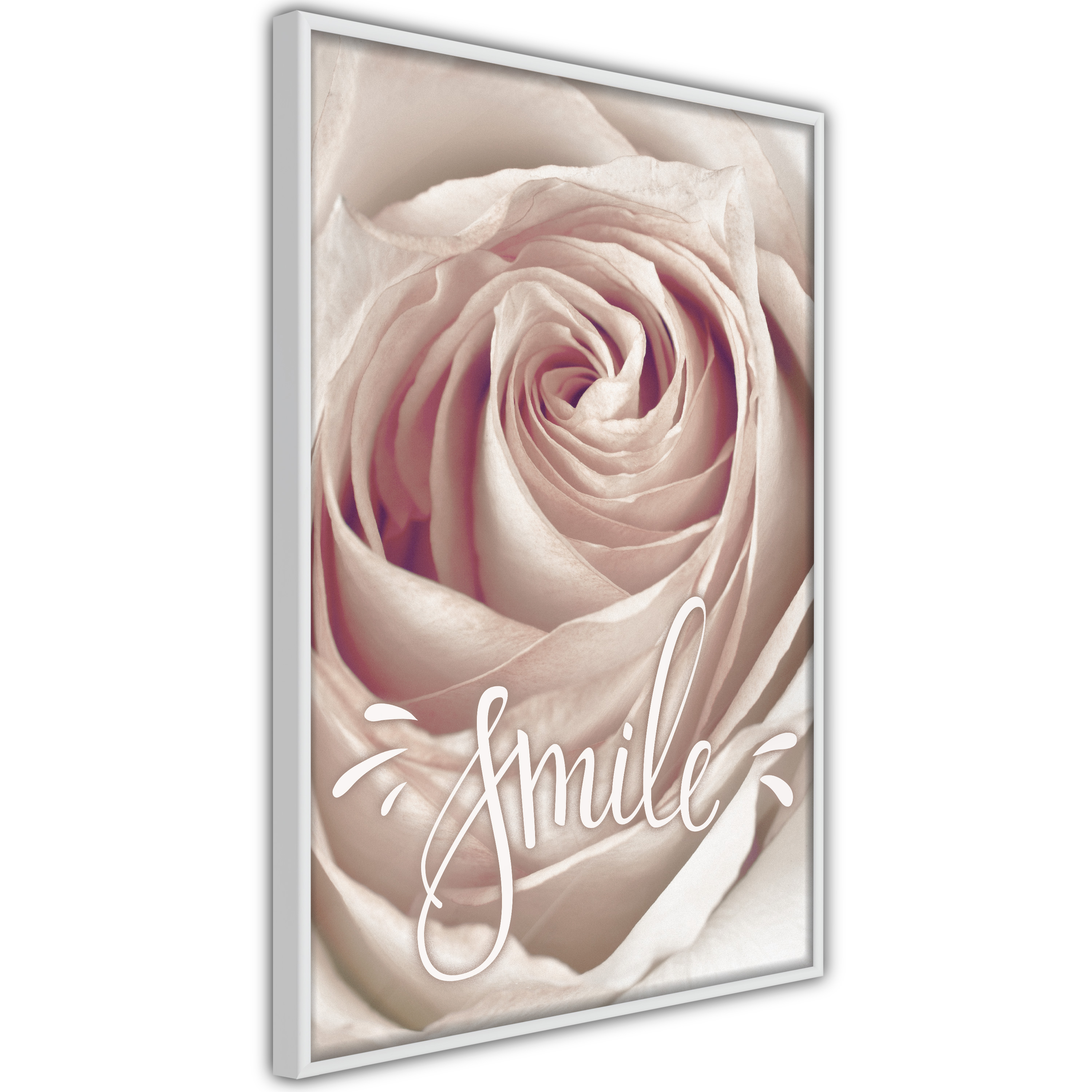 Poster - Rose with a Message  - 30x45
