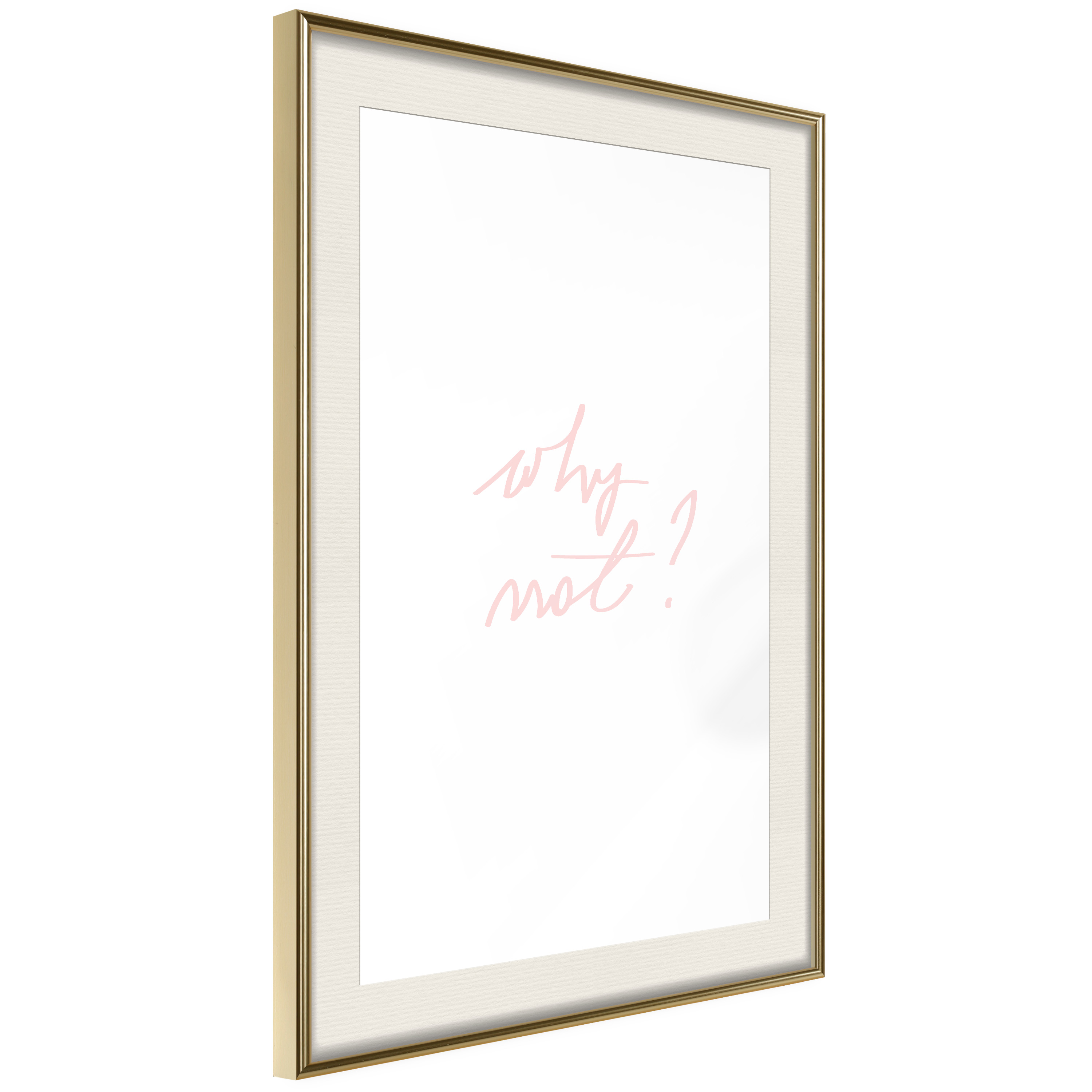Poster - Why Not? - 20x30