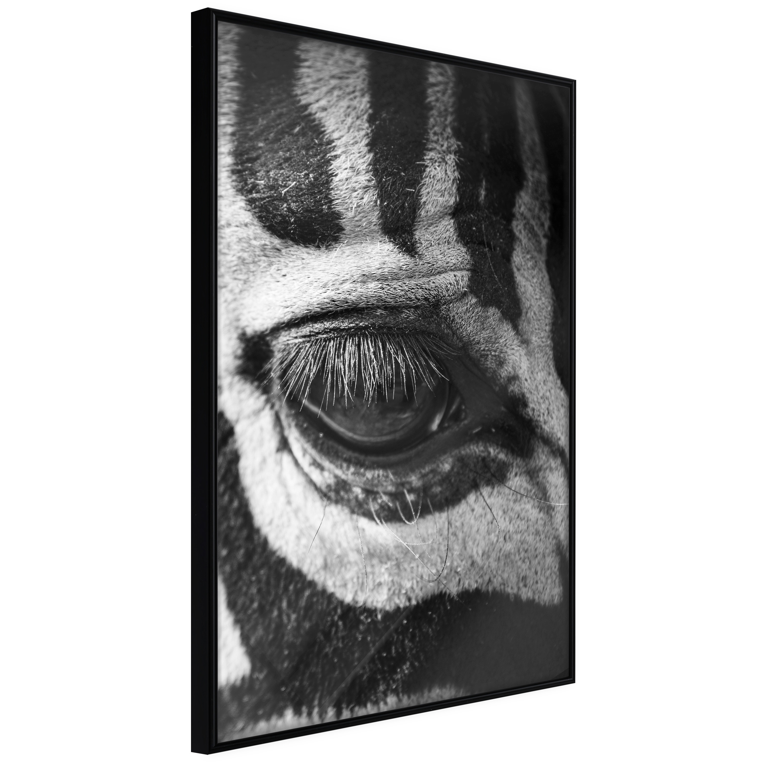 Poster - Zebra Is Watching You - 40x60