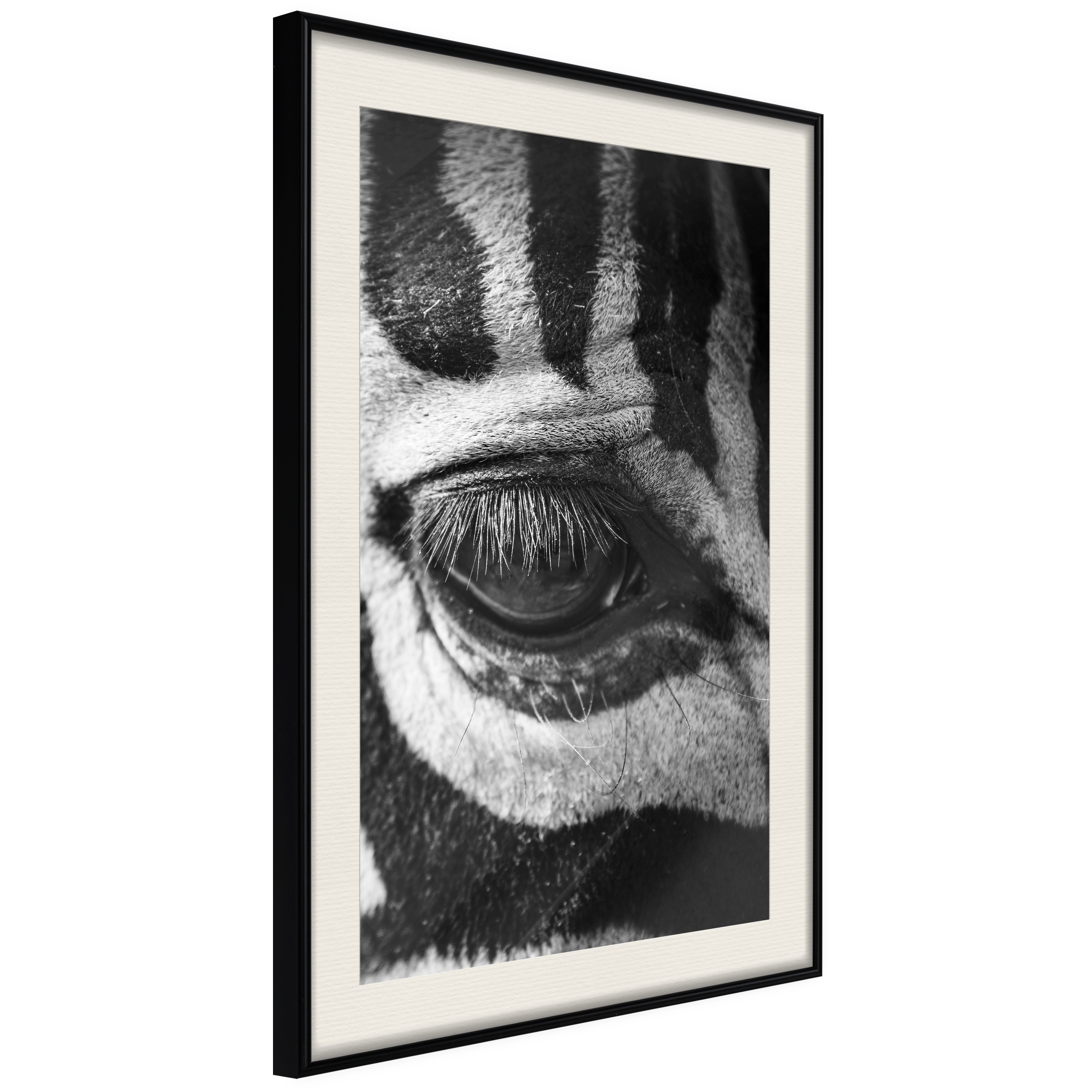 Poster - Zebra Is Watching You - 20x30