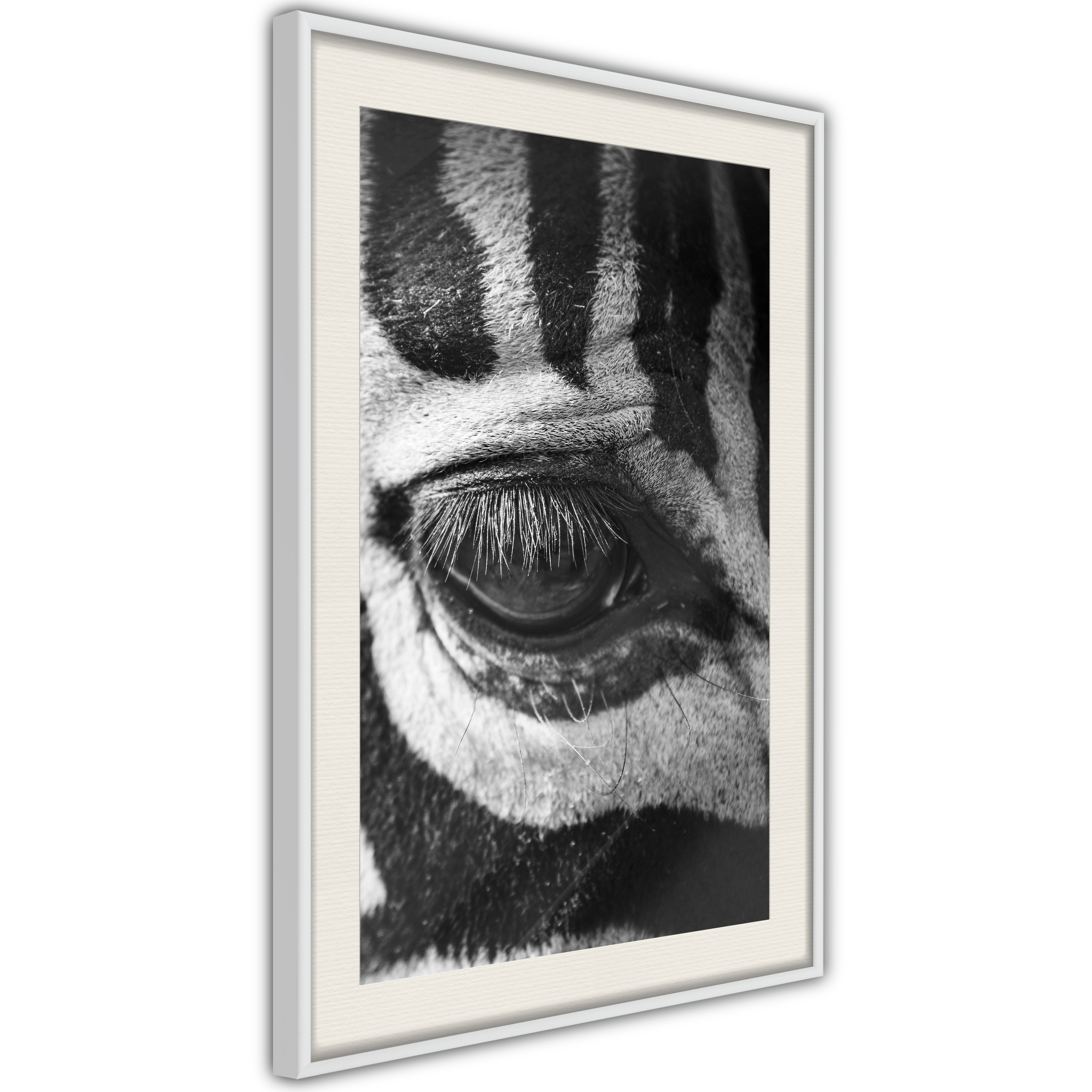 Poster - Zebra Is Watching You - 30x45