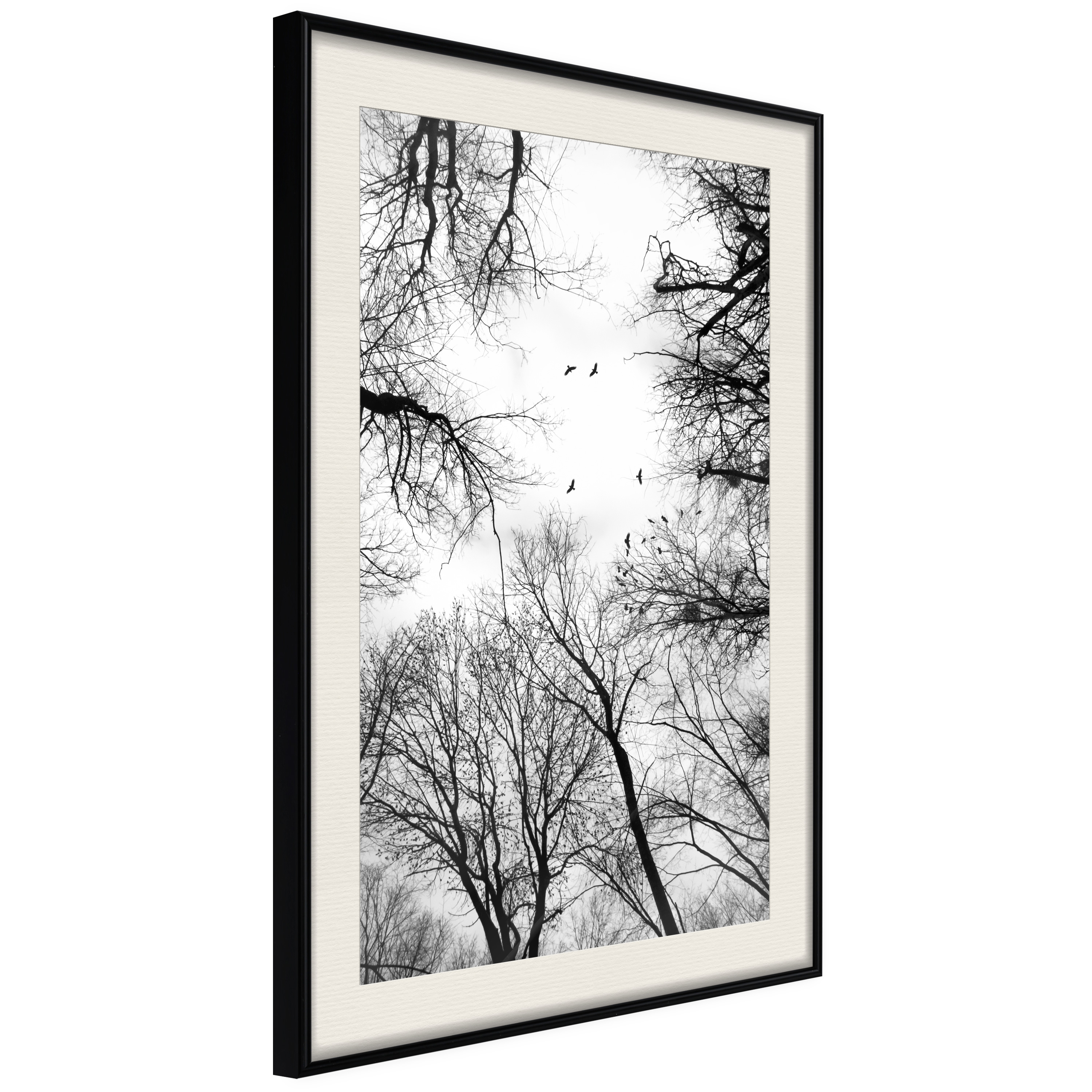 Poster - Treetops - 40x60