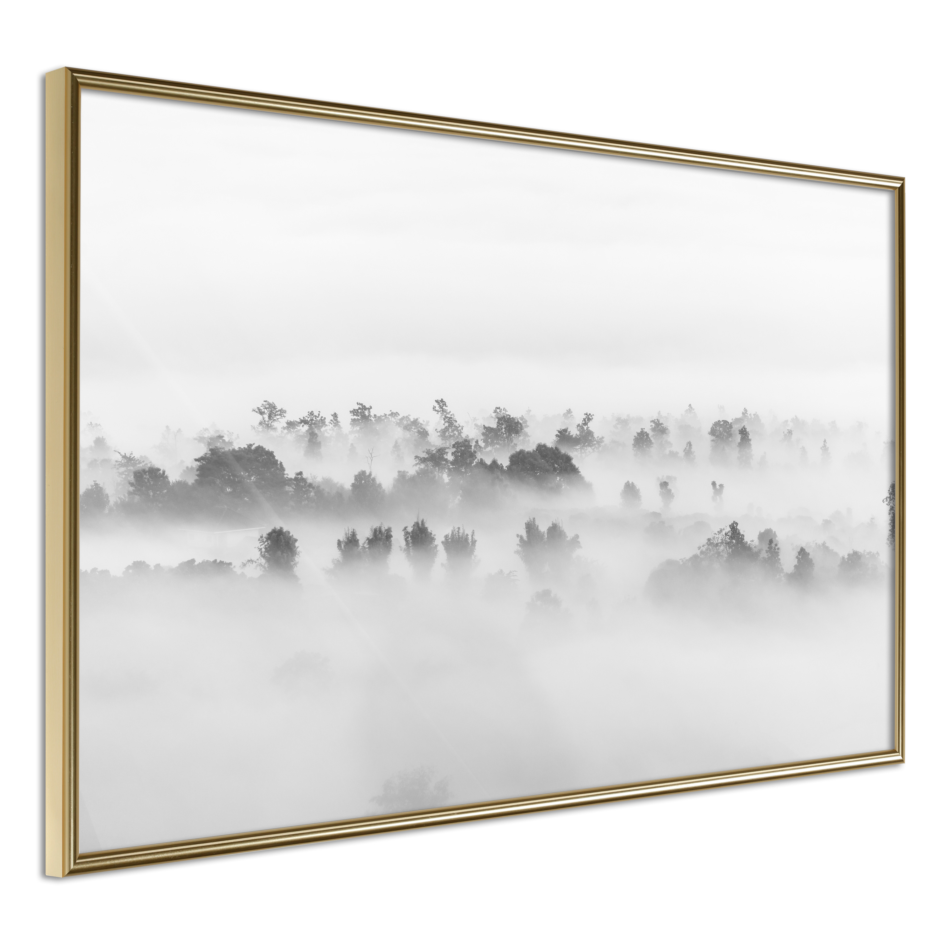 Poster - Fog Over the Forest - 60x40