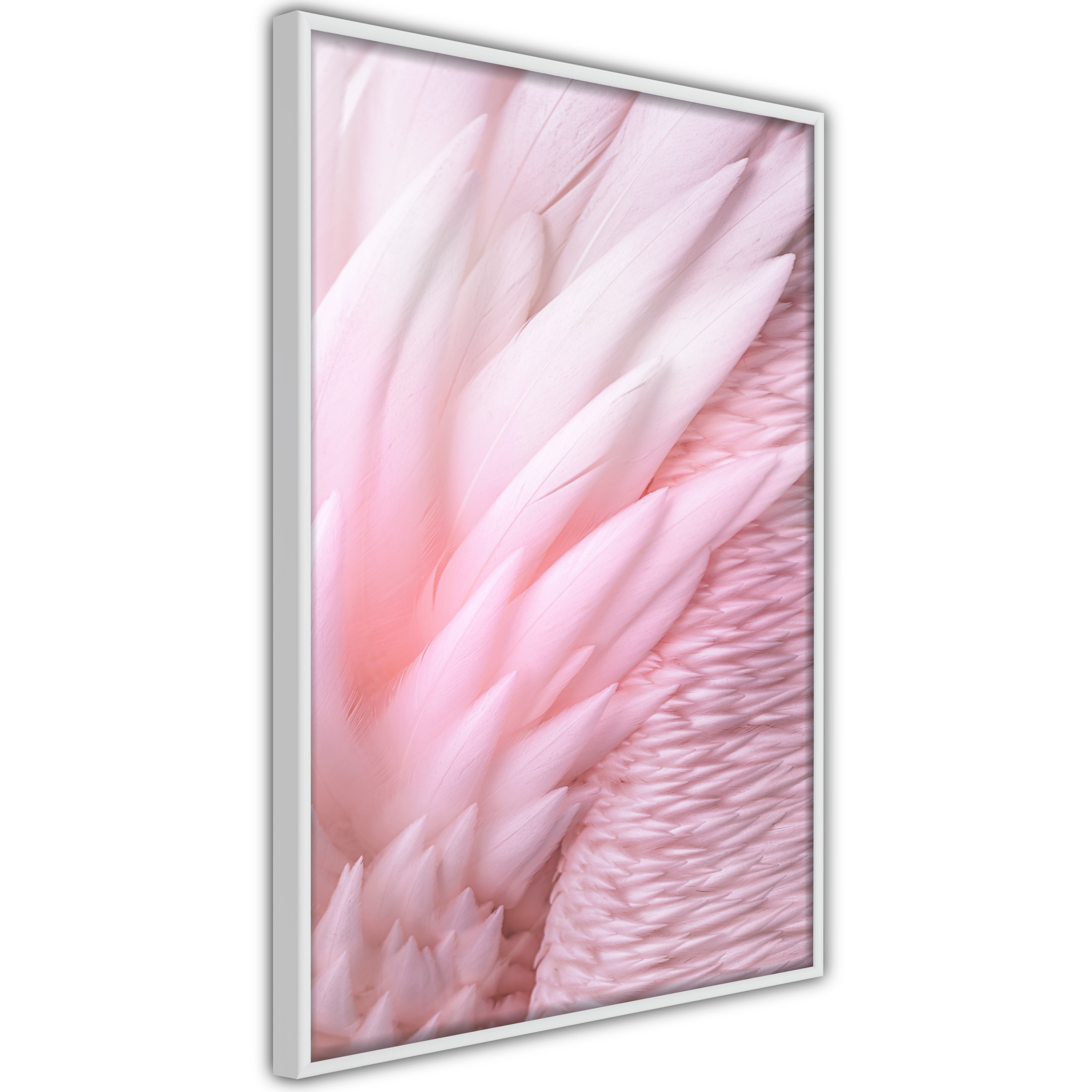 Poster - Pink Feathers - 20x30